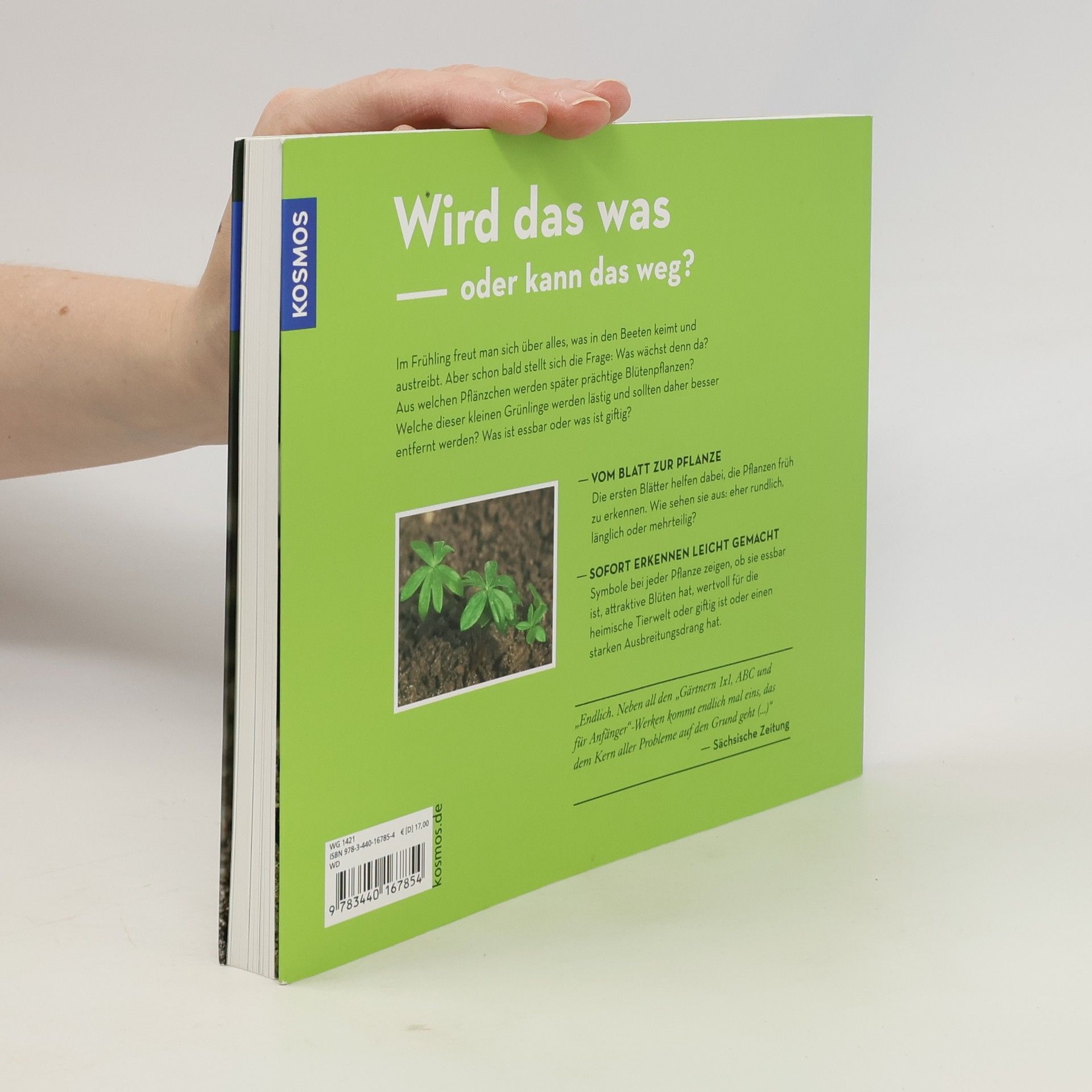 Bärbel Oftring Wird das was oder kann das weg?