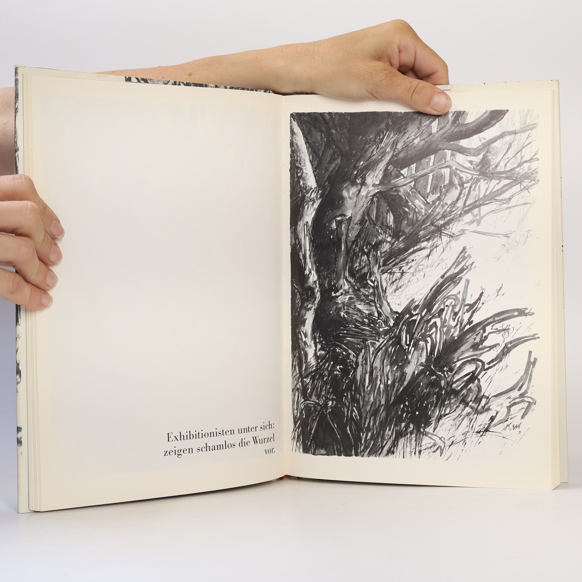 Günter Grass Totes Holz