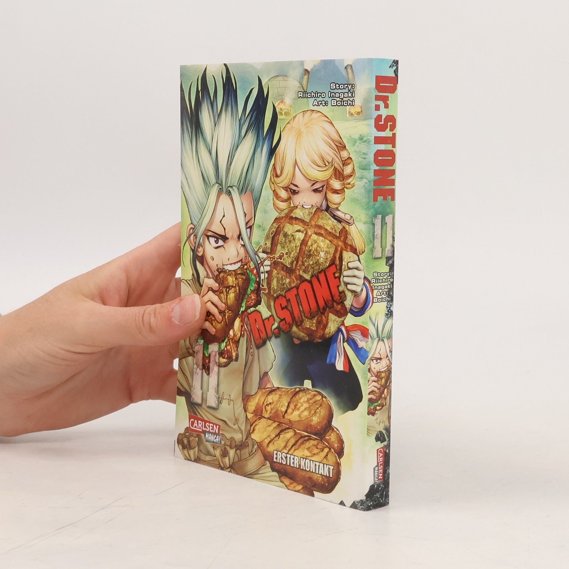 Boichi Dr. Stone 11