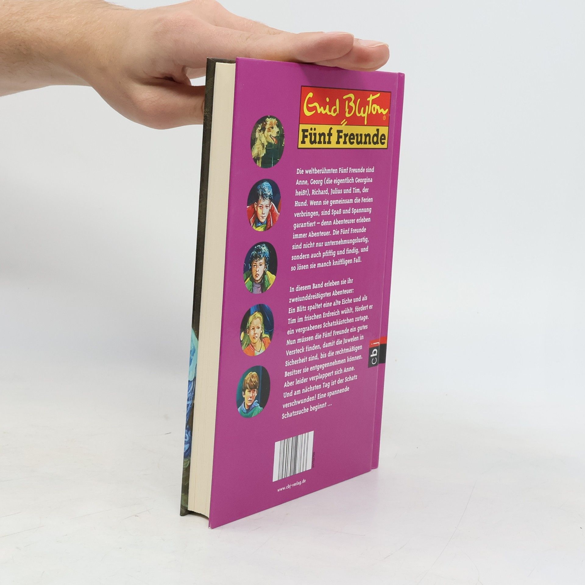 Enid Blyton Fünf Freunde und die geheimnisvolle Schatztruhe