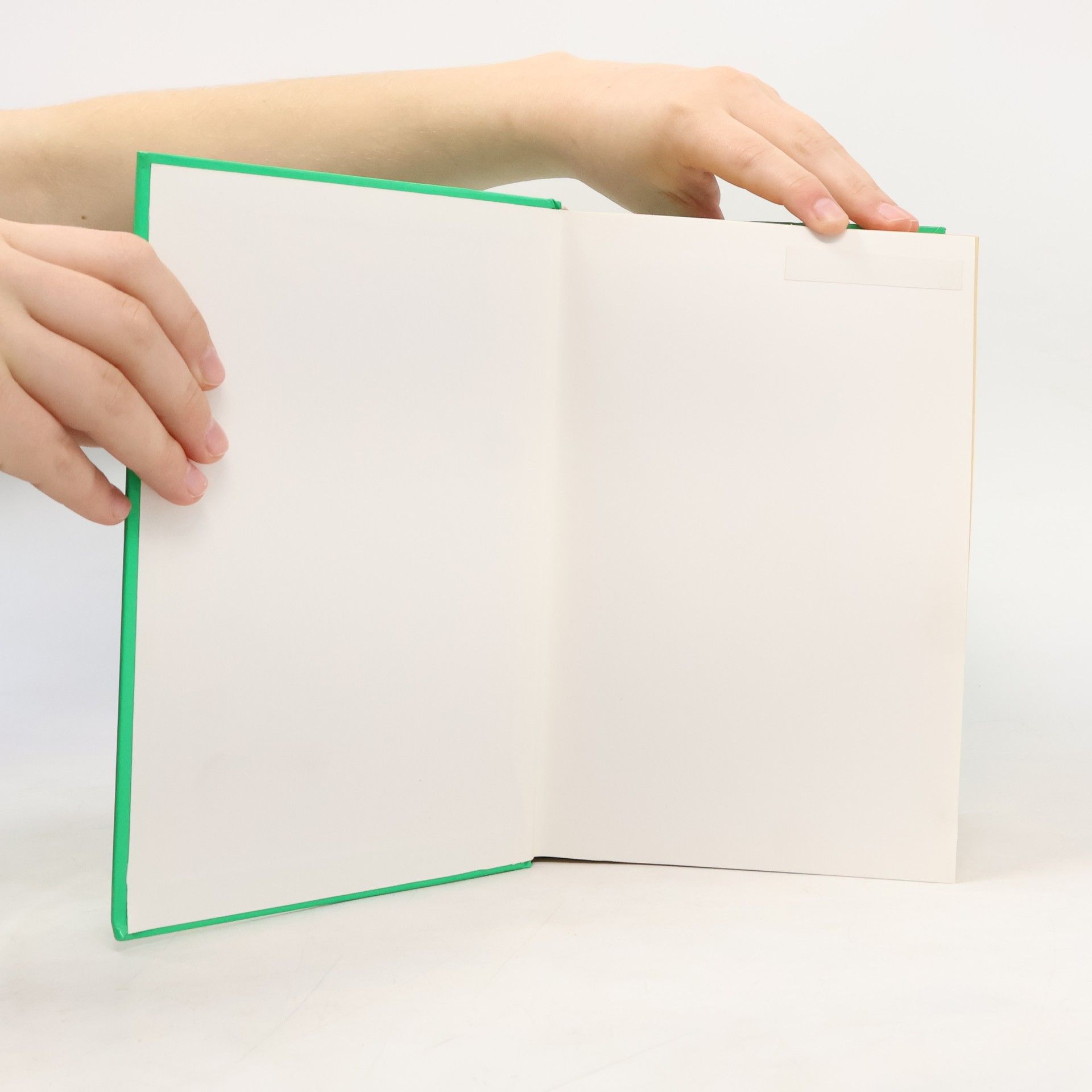 Collectif d'auteurs Die Bibel