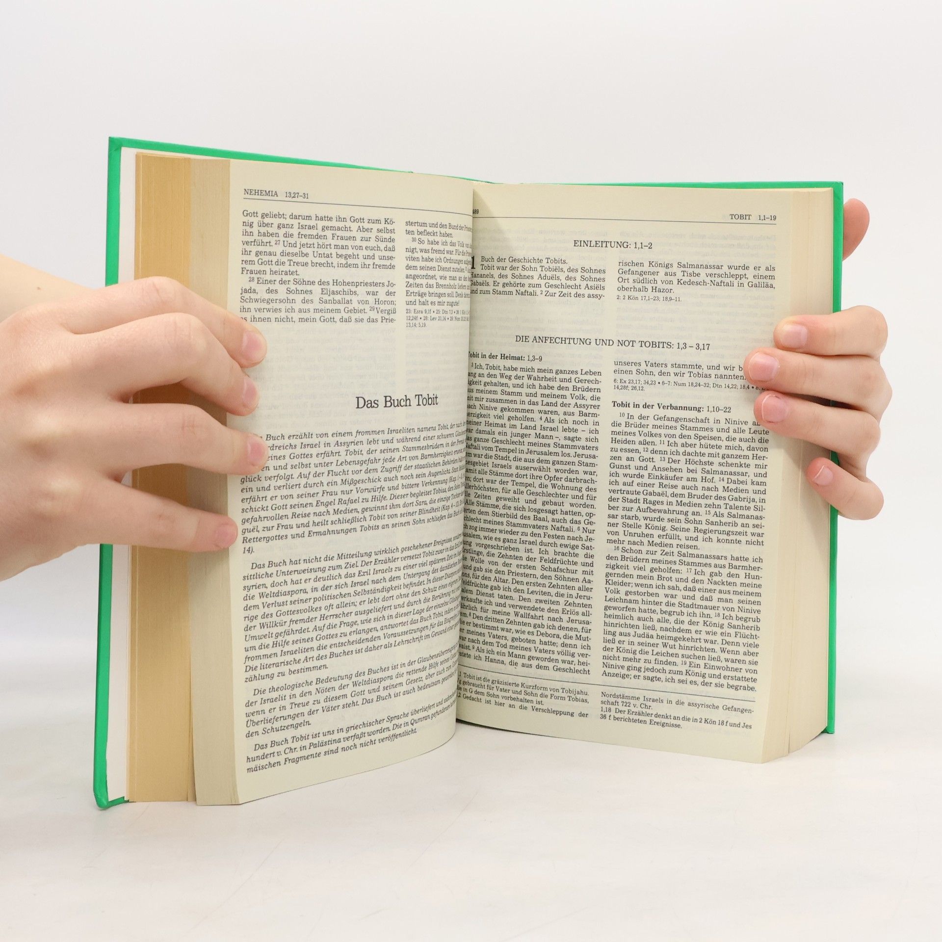 Collectif d'auteurs Die Bibel