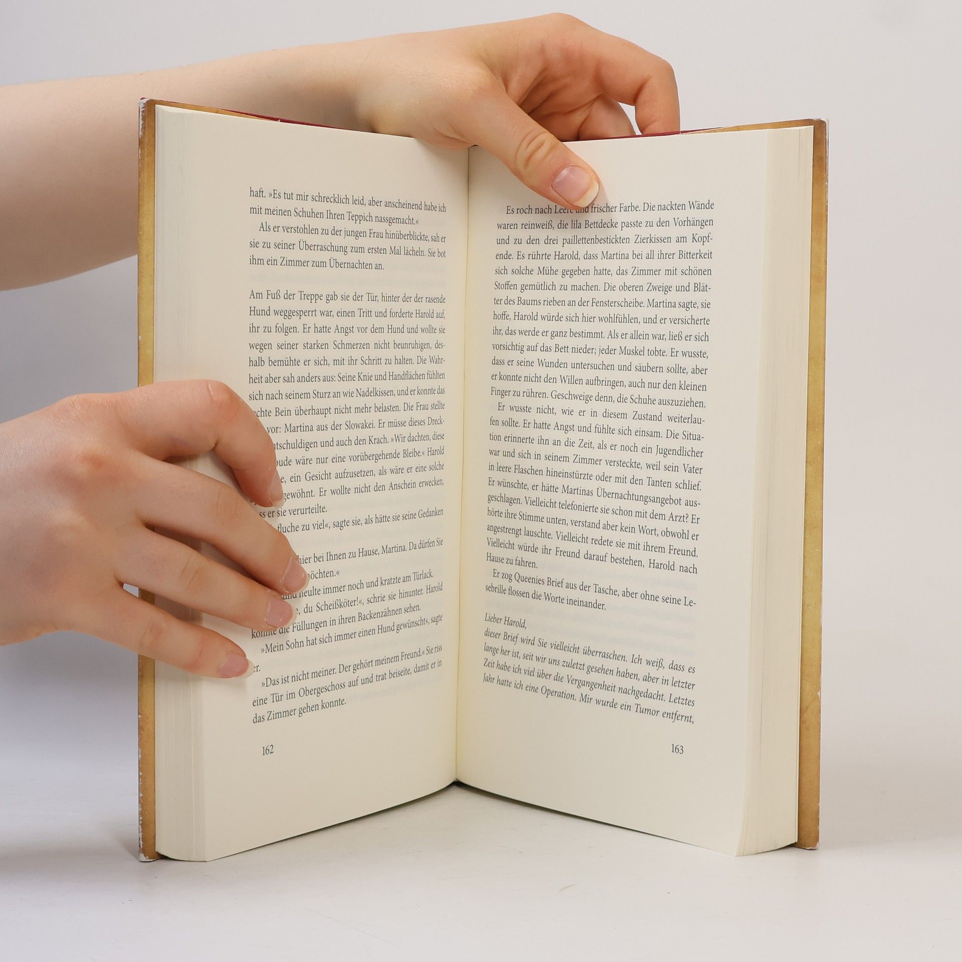Rachel Joyce Die unwahrscheinliche Pilgerreise des Harold Fry