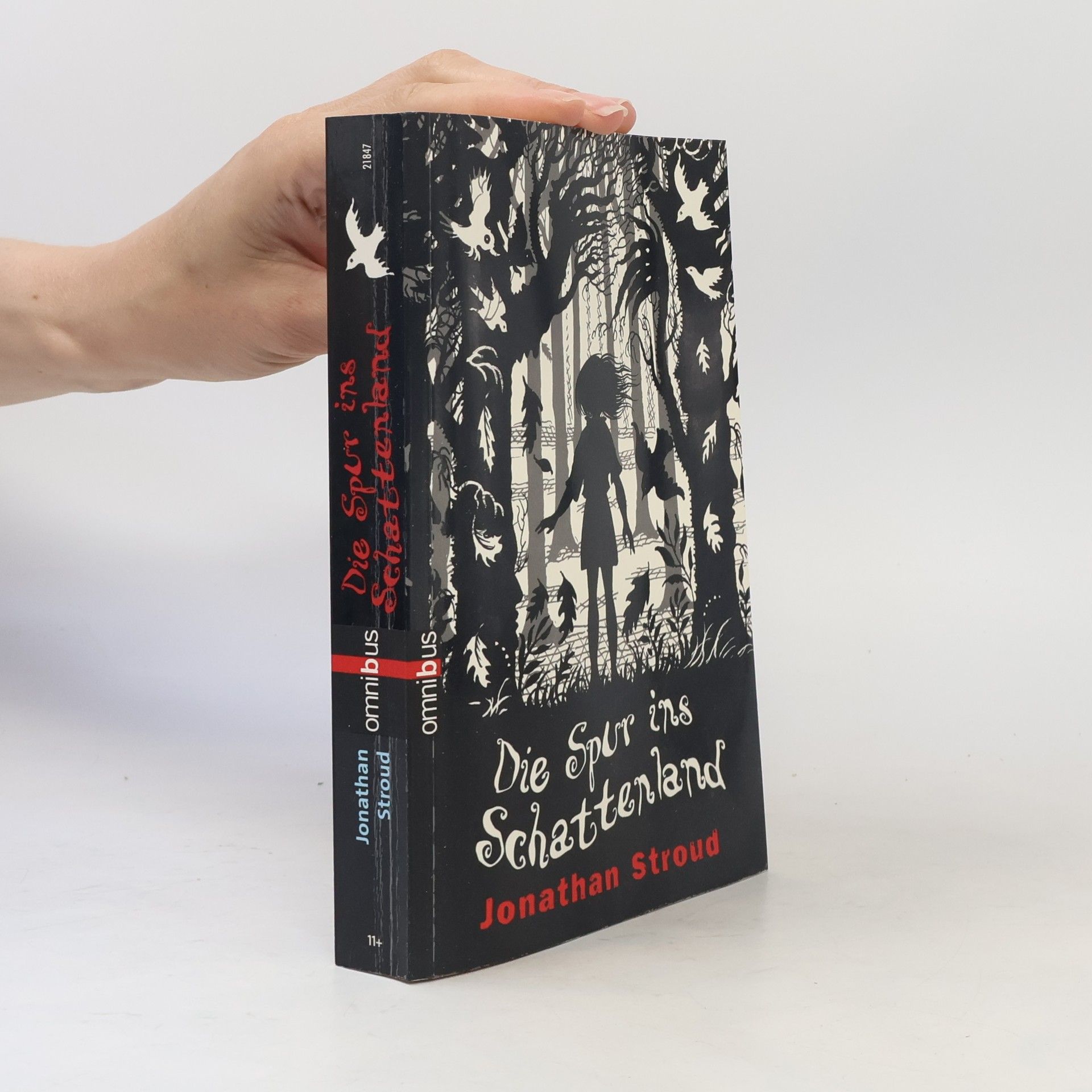 Jonathan Stroud Die Spur ins Schattenland