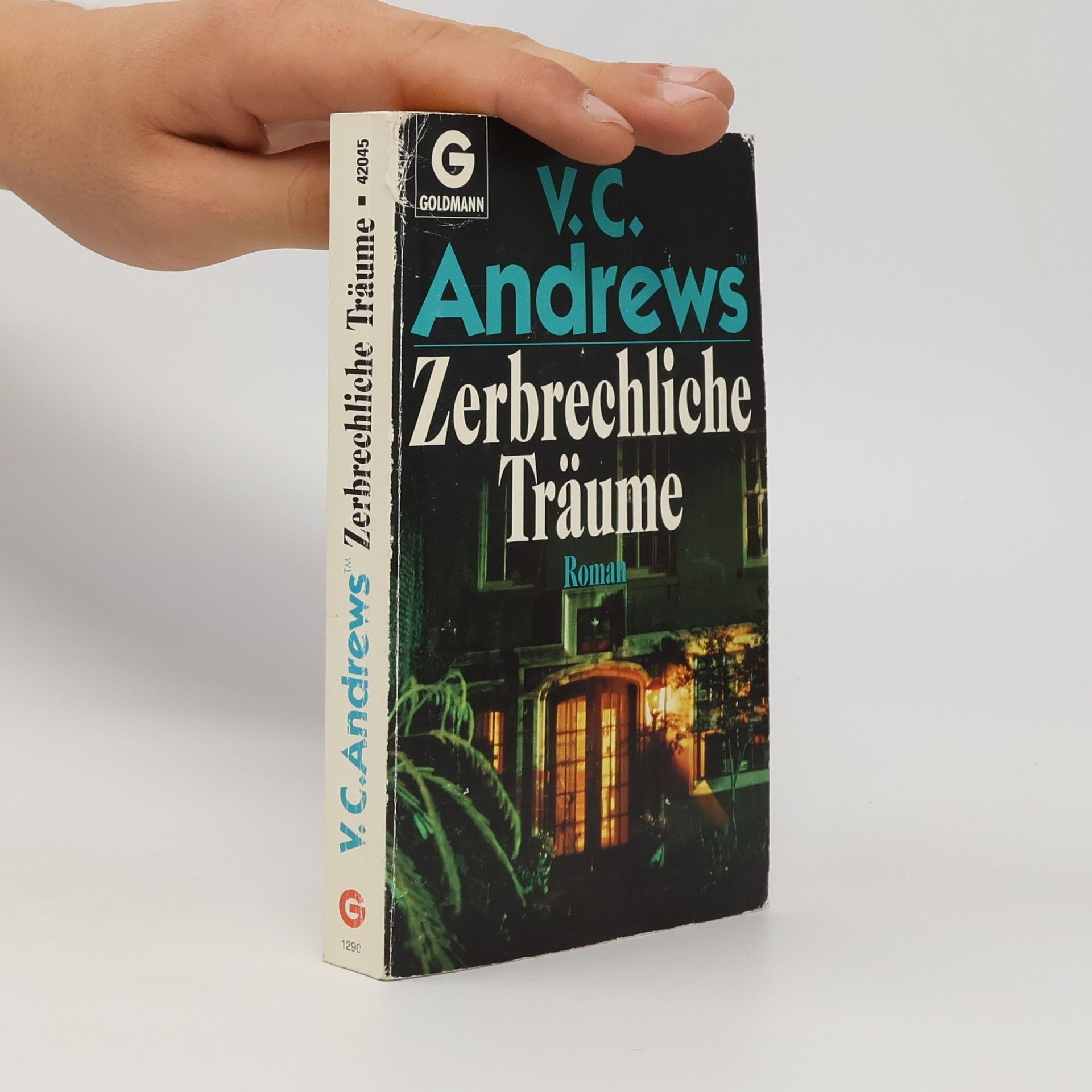 V. C. Andrews Zerbrechliche Träume