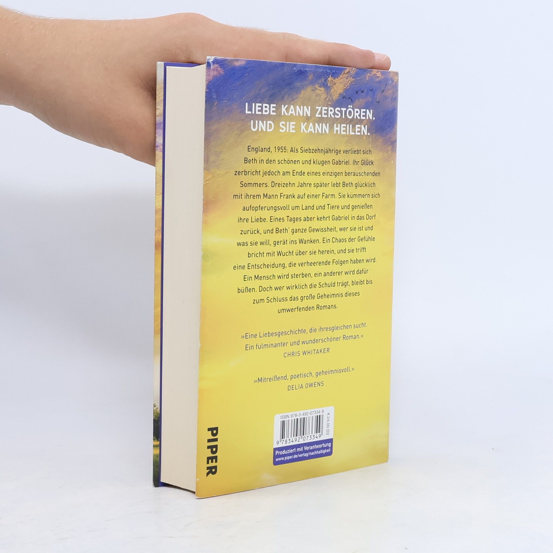 Clare Leslie Hall Wie Risse in der Erde