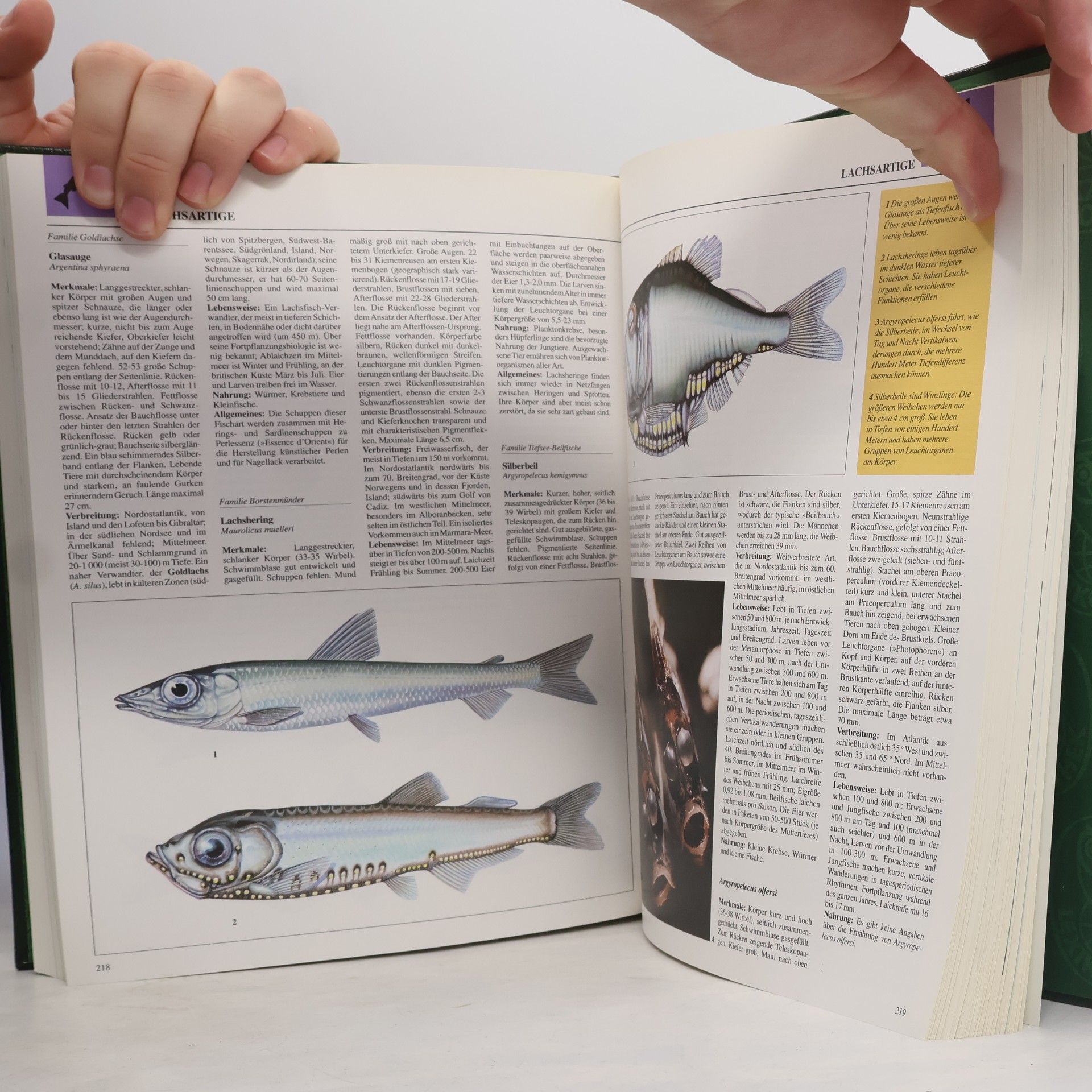 Gunter Steinbach Naturenzyklopädie Europas 3. Fische: Süßwasser und Meeresfische
