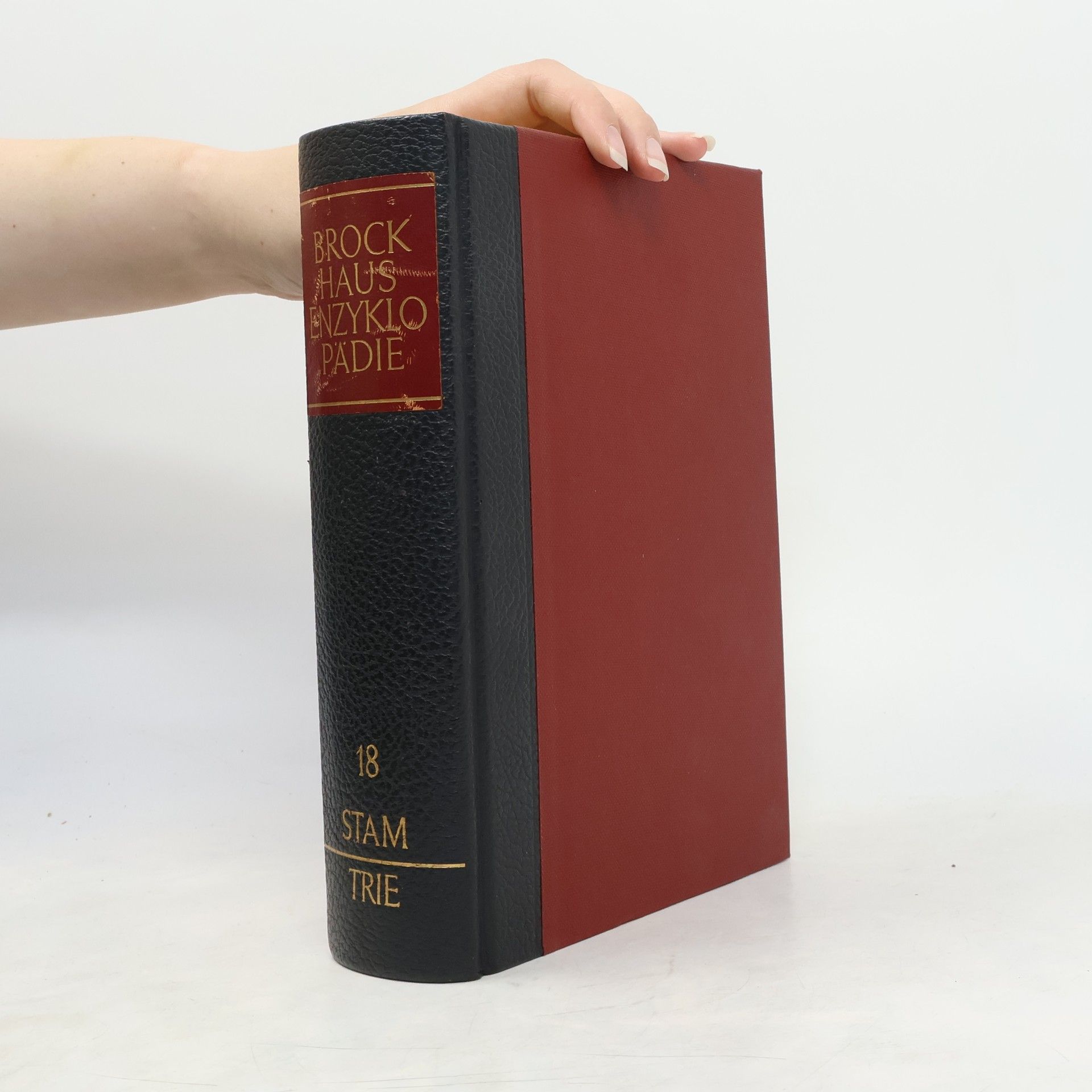F. A. Brockhaus Brockhaus Enzyklopädie 18