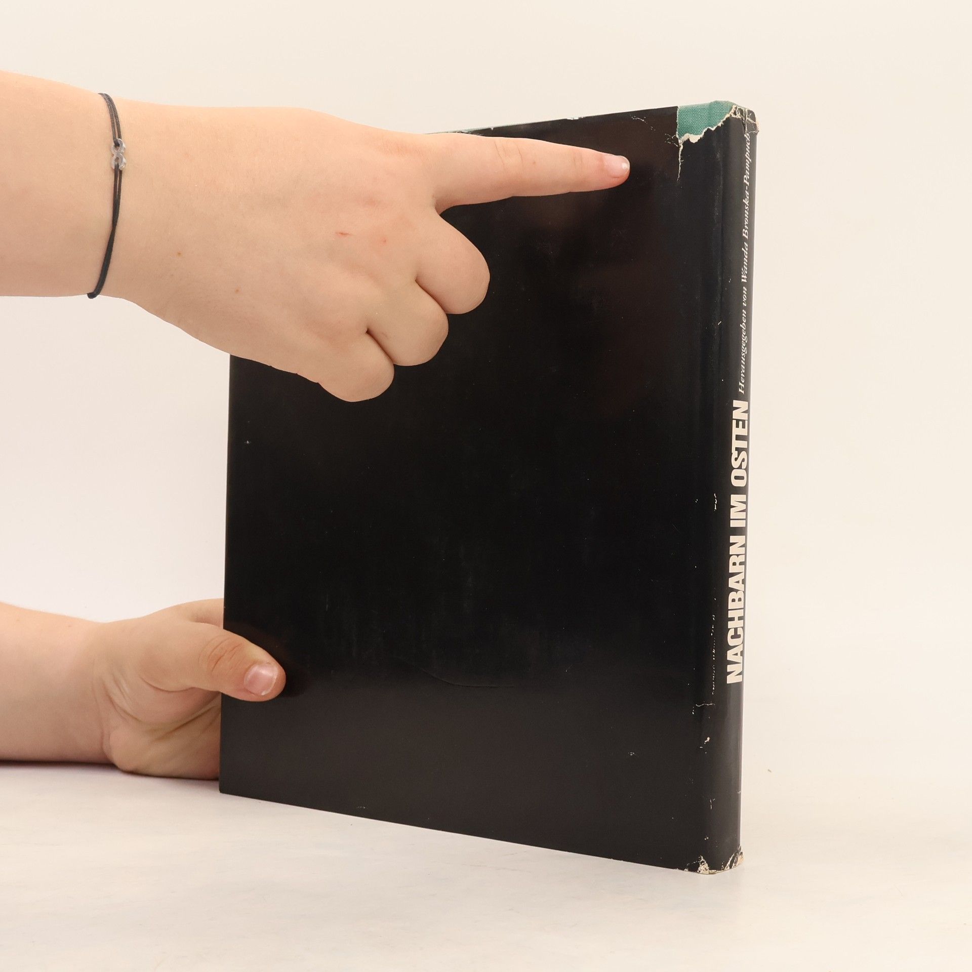 Autores varios Nachbarn im Osten