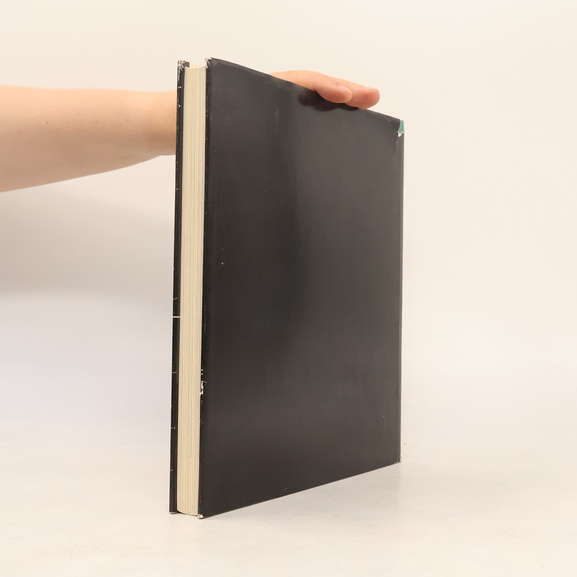 Autores varios Nachbarn im Osten