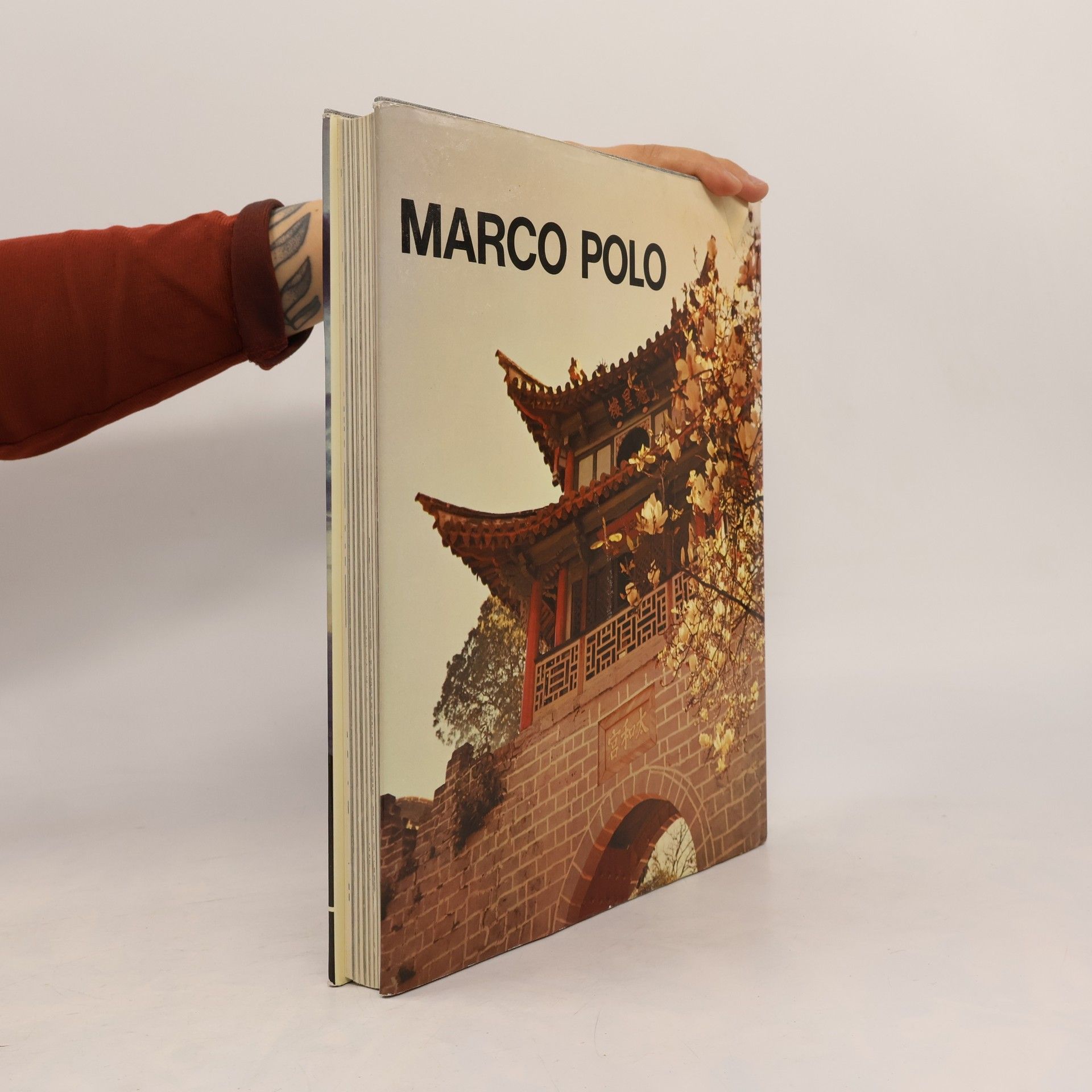 Auteurscollectief Marco Polo