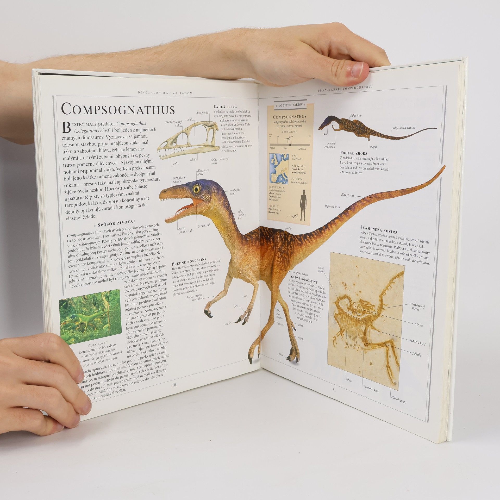David Lambert Veľká kniha o dinosauroch