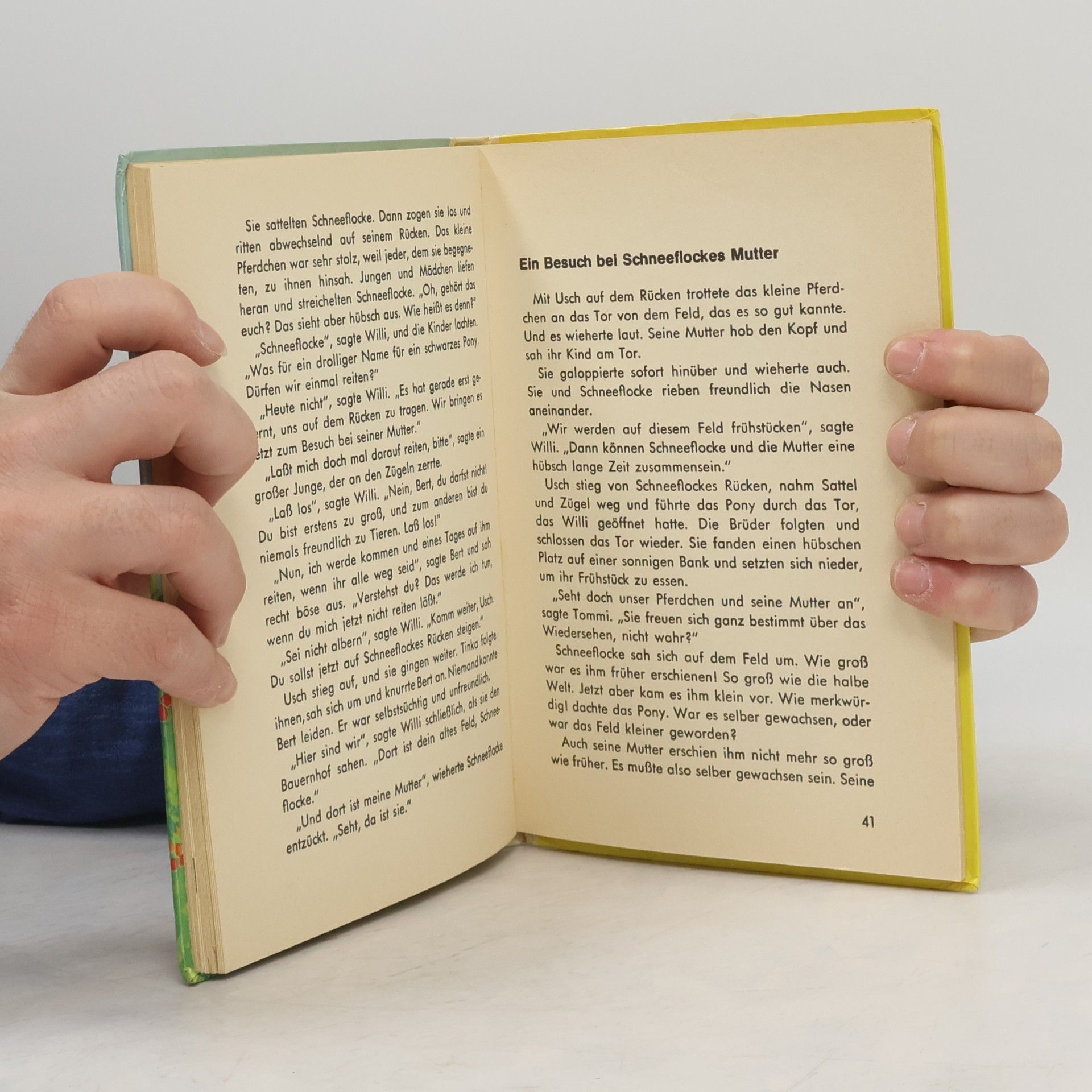 Enid Blyton Unser liebes Pony