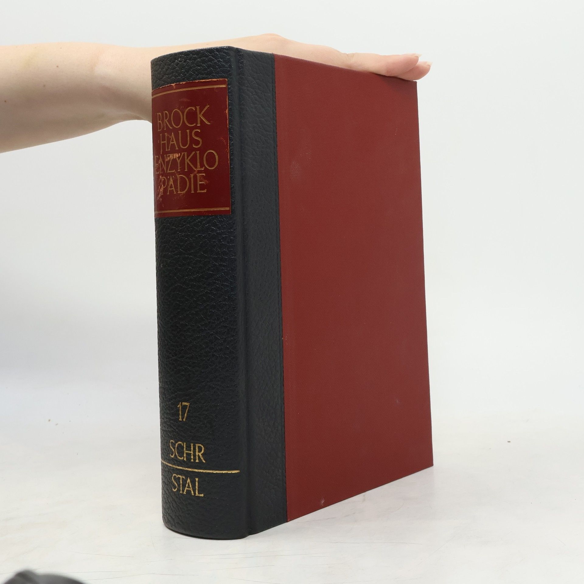 Autorenkollektiv Brockhaus Enzyklopädie 17. Schr-Stal