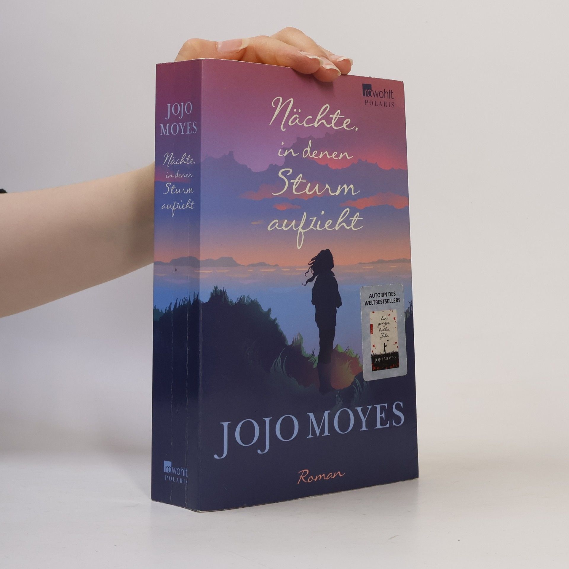 Jojo Moyes Nächte in denen Sturm aufzieht