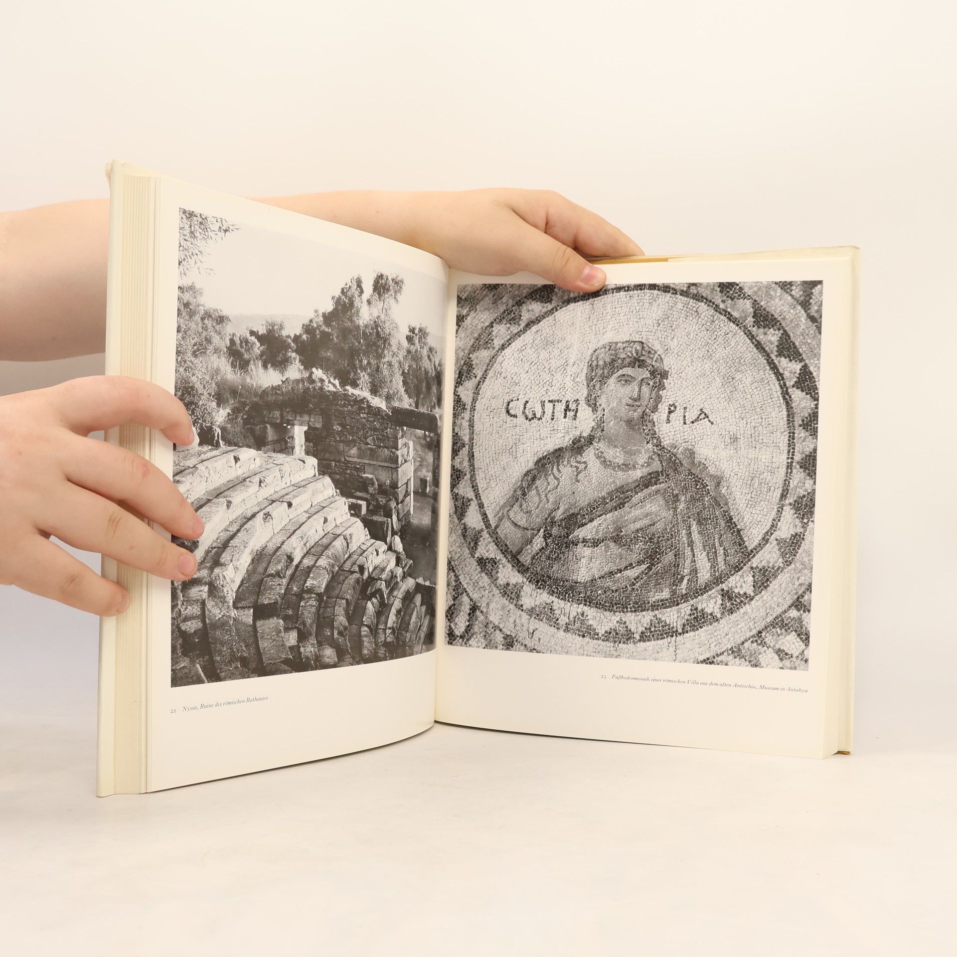 Collectif d'auteurs Das goldene Buch der Türkei