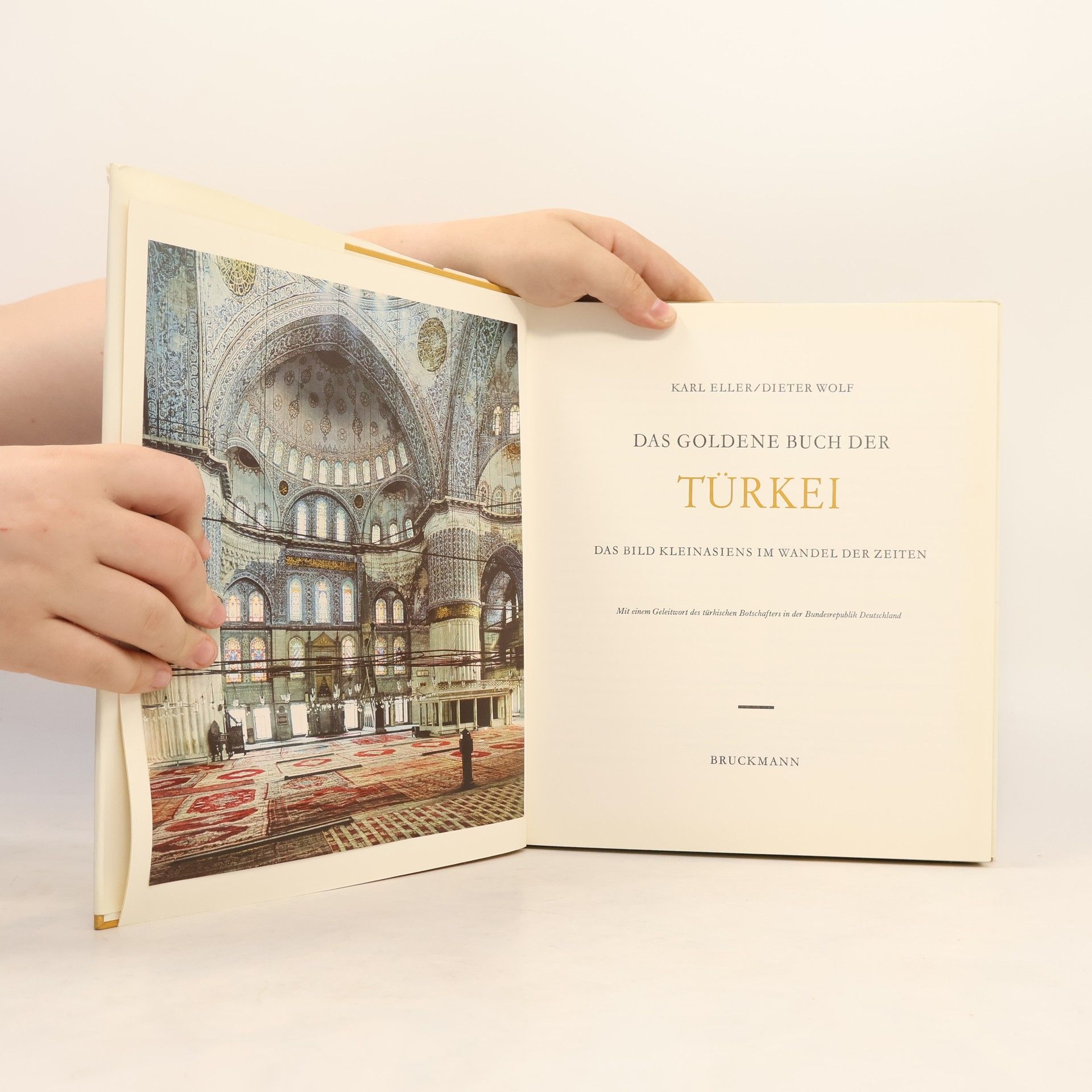 Collectif d'auteurs Das goldene Buch der Türkei