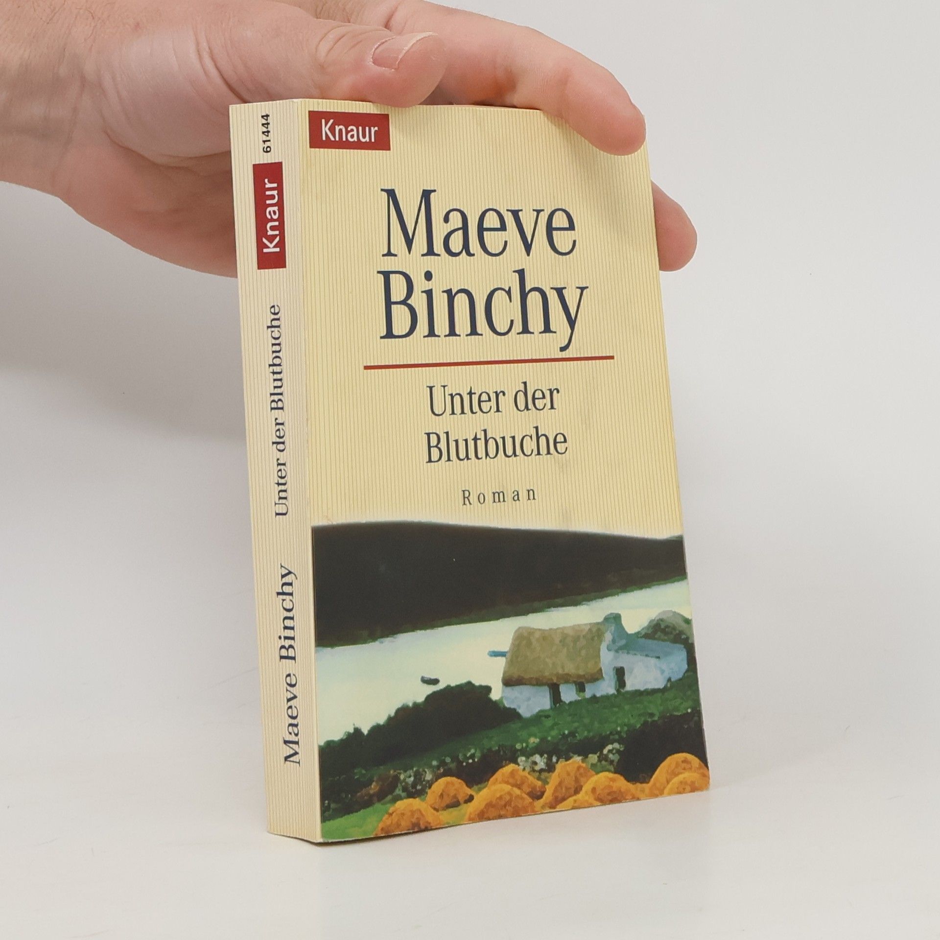 Maeve Binchy Unter der Blutbuche
