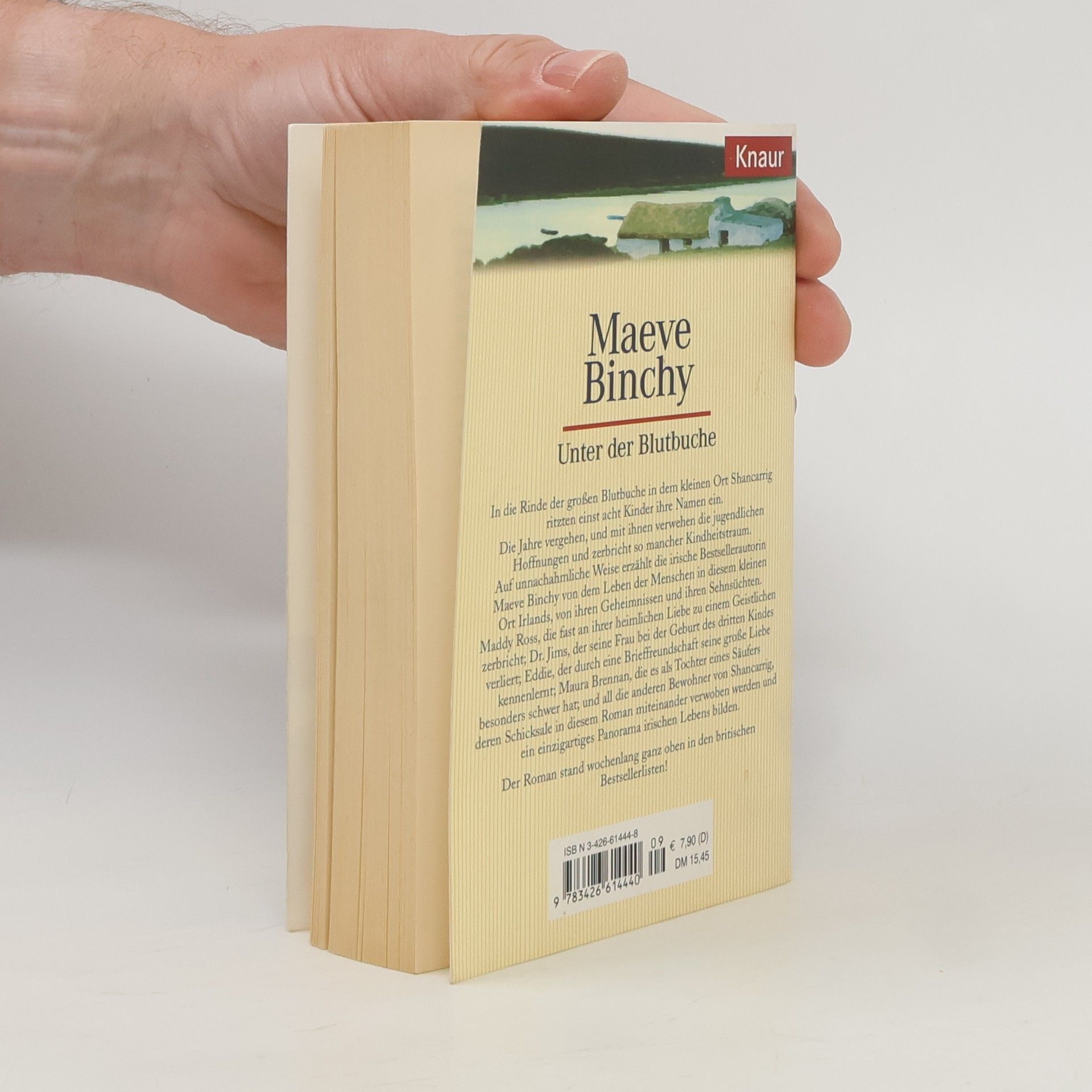 Maeve Binchy Unter der Blutbuche