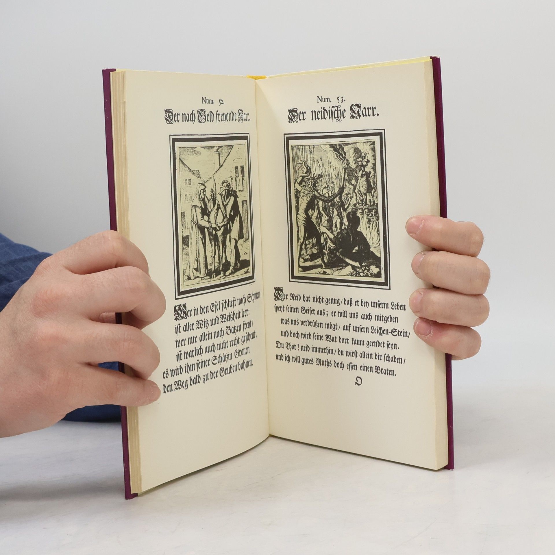 Manfred Lemmer Wol-geschliffener. Narren-Spiegel