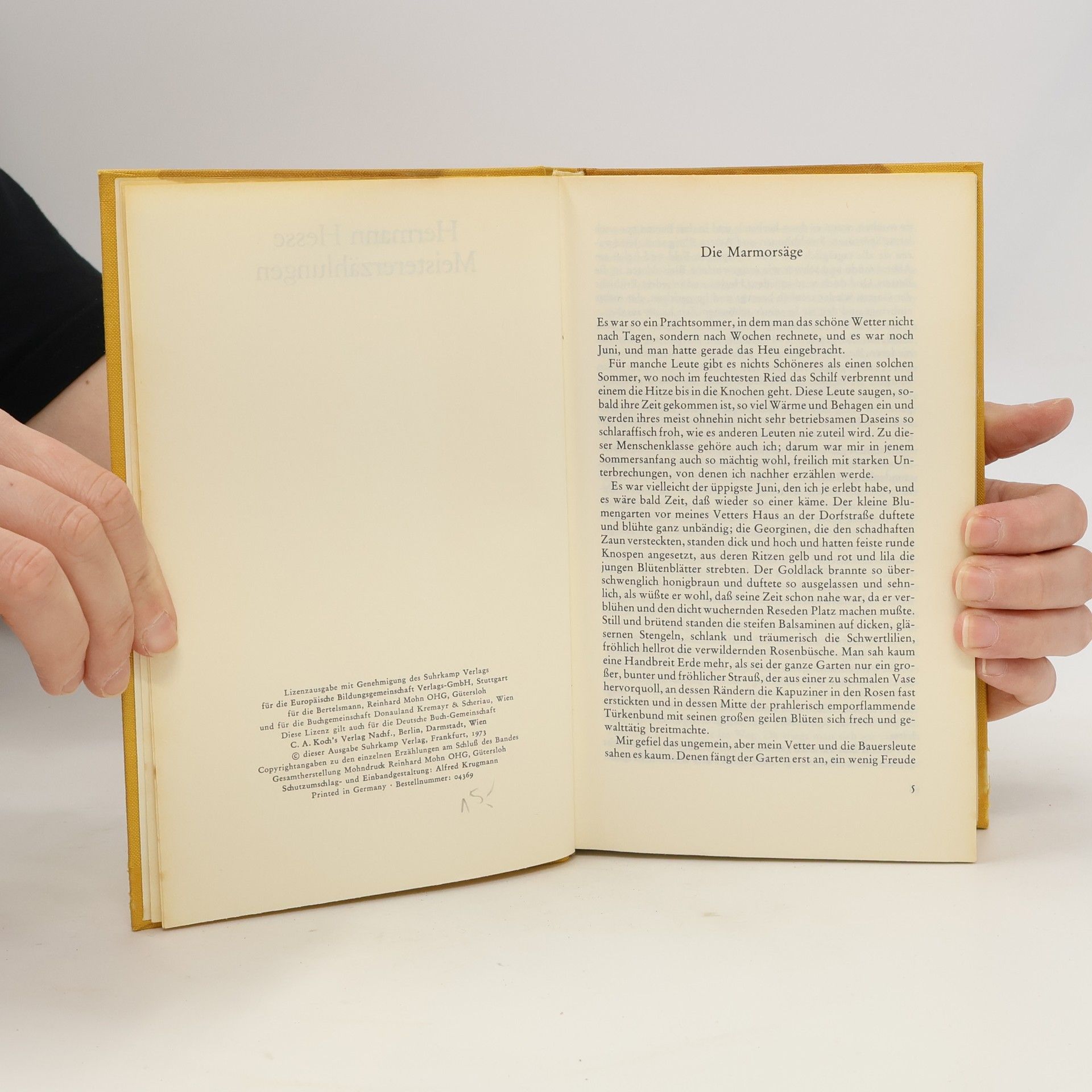 Hermann Hesse Meistererzählungen