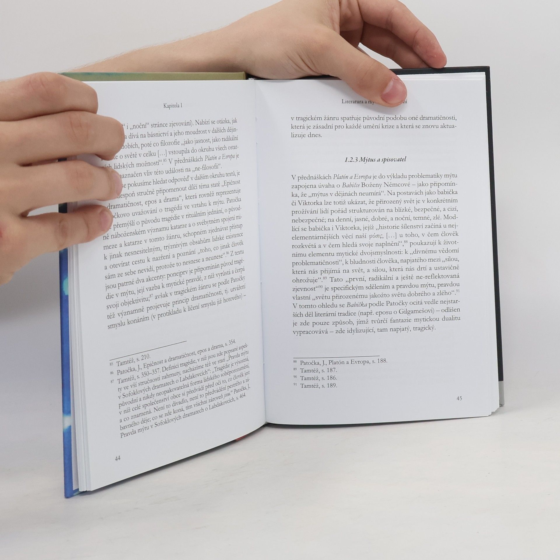 Miloš Ševčík Patočkovy interpretace literatury