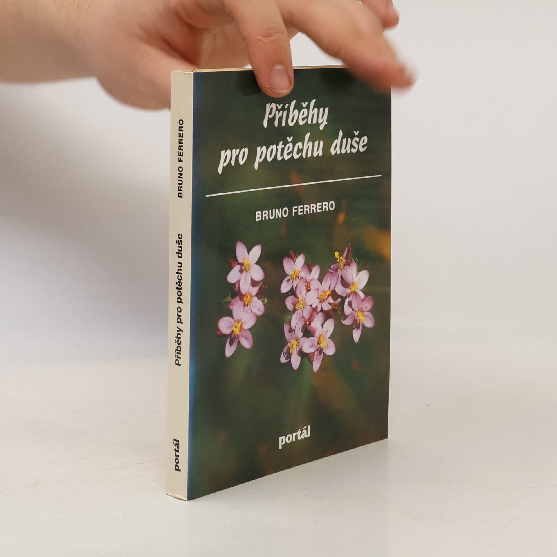 Bruno Ferrero Příběhy pro potěchu duše