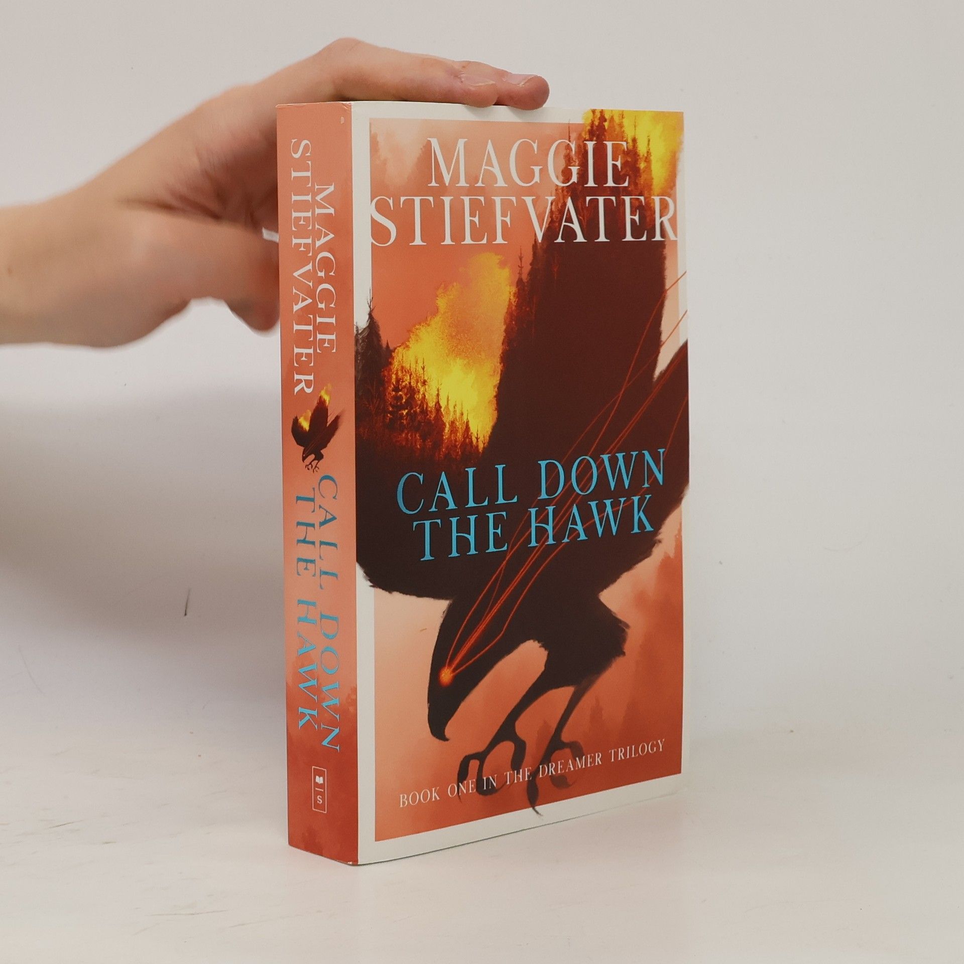 Maggie Stiefvater Call Down the Hawk
