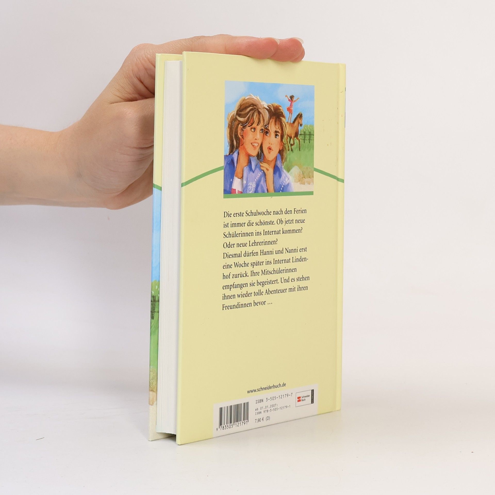 Enid Blyton Hanni und Nanni in neuen Abenteuern