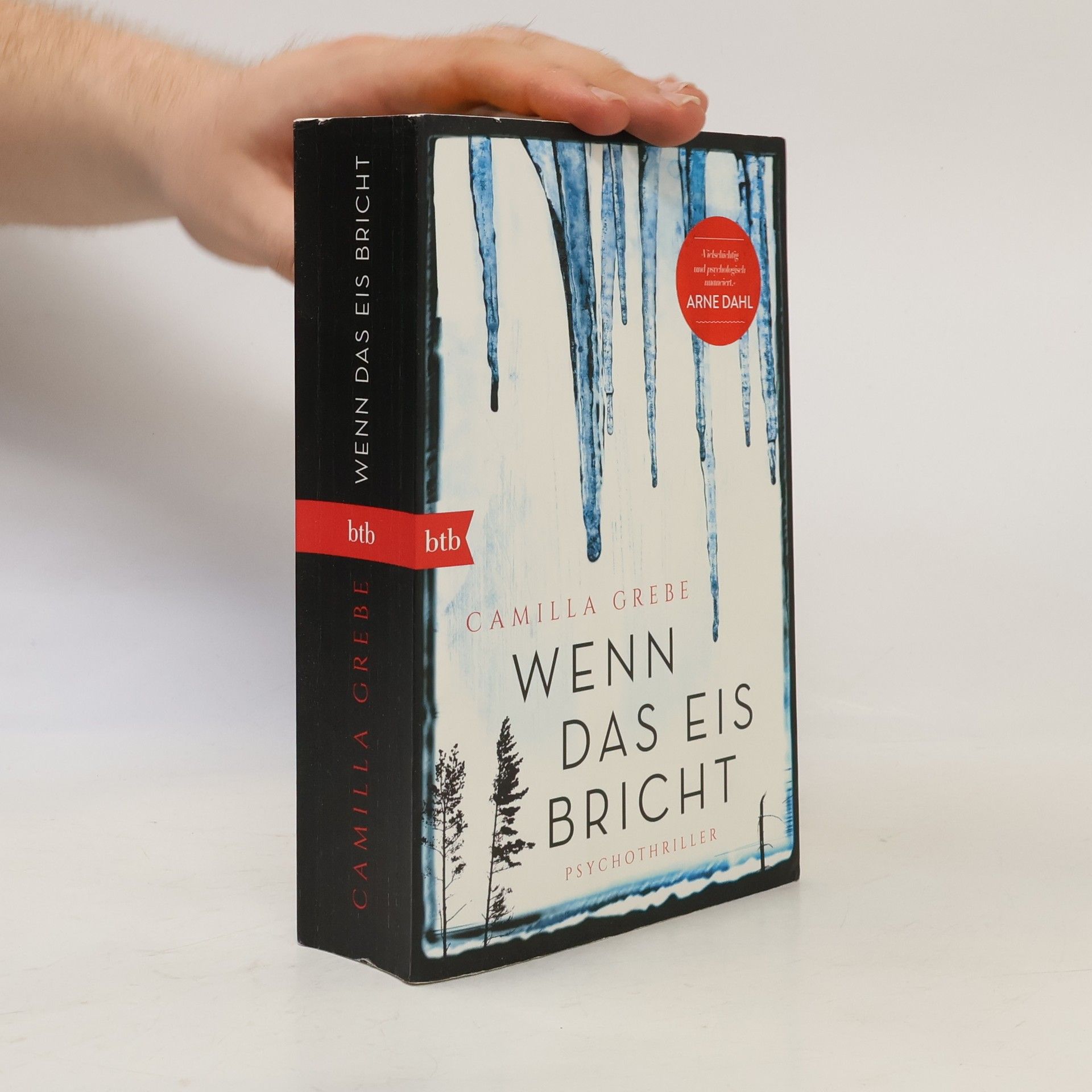 Camilla Grebe Wenn das Eis bricht