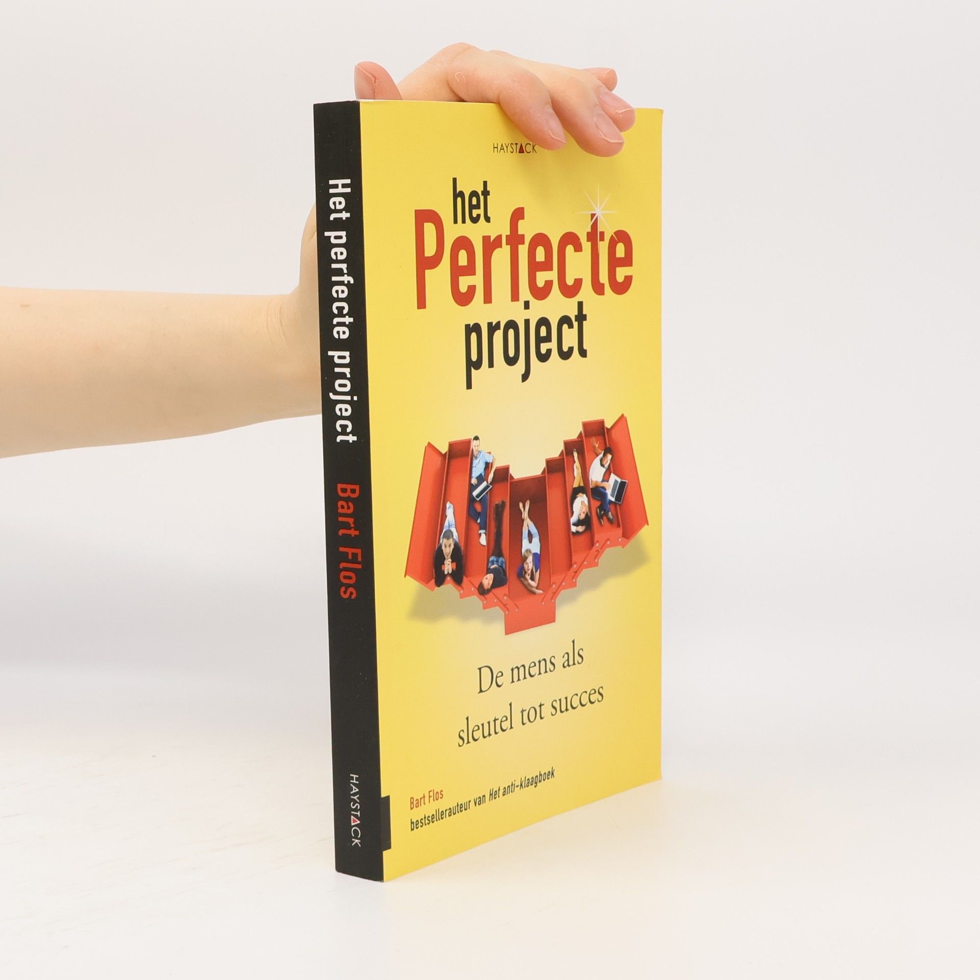 Bart Flos Het perfecte project