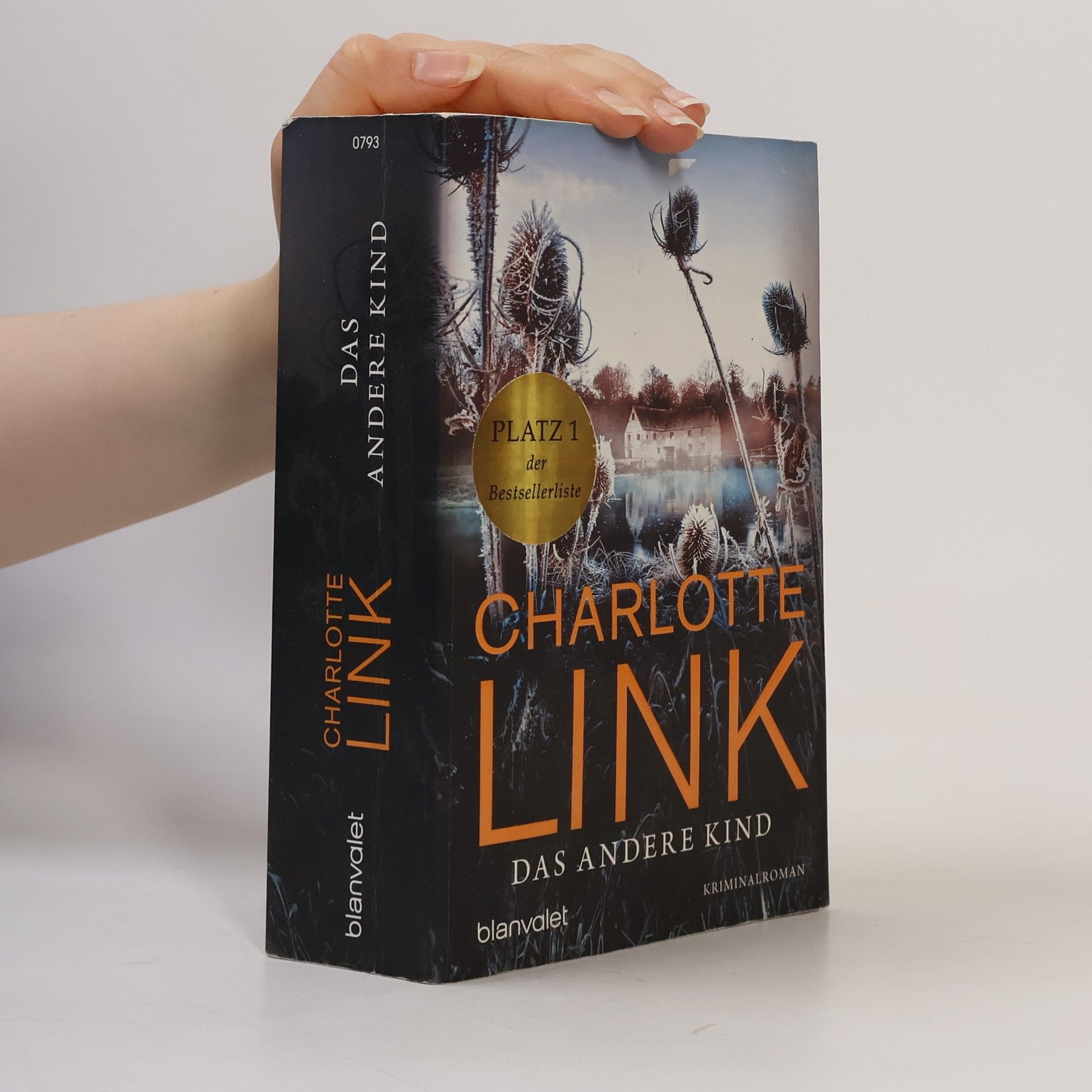 Charlotte Link Das andere Kind