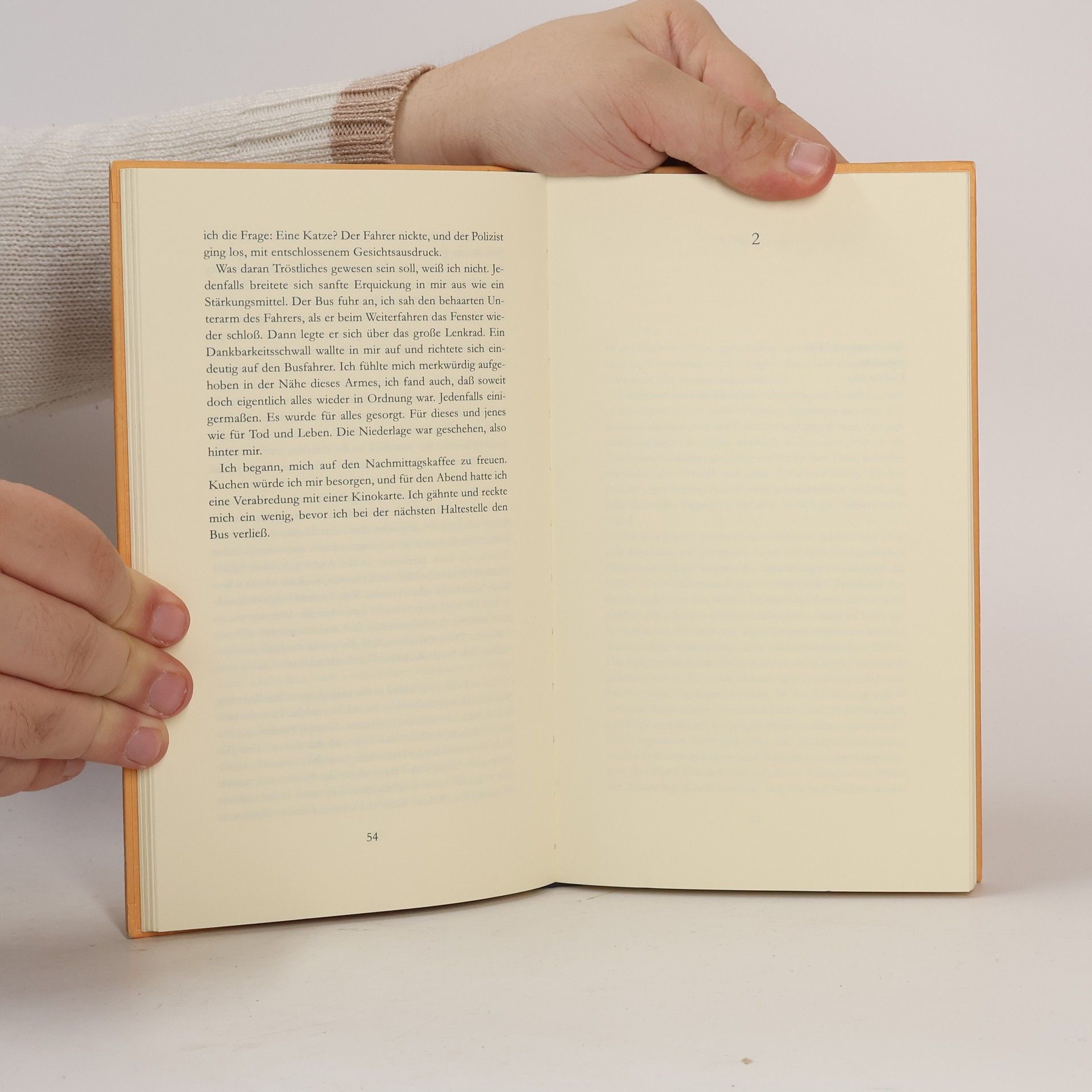 Anne Duden Bibliothek Rotbuch: Übergang