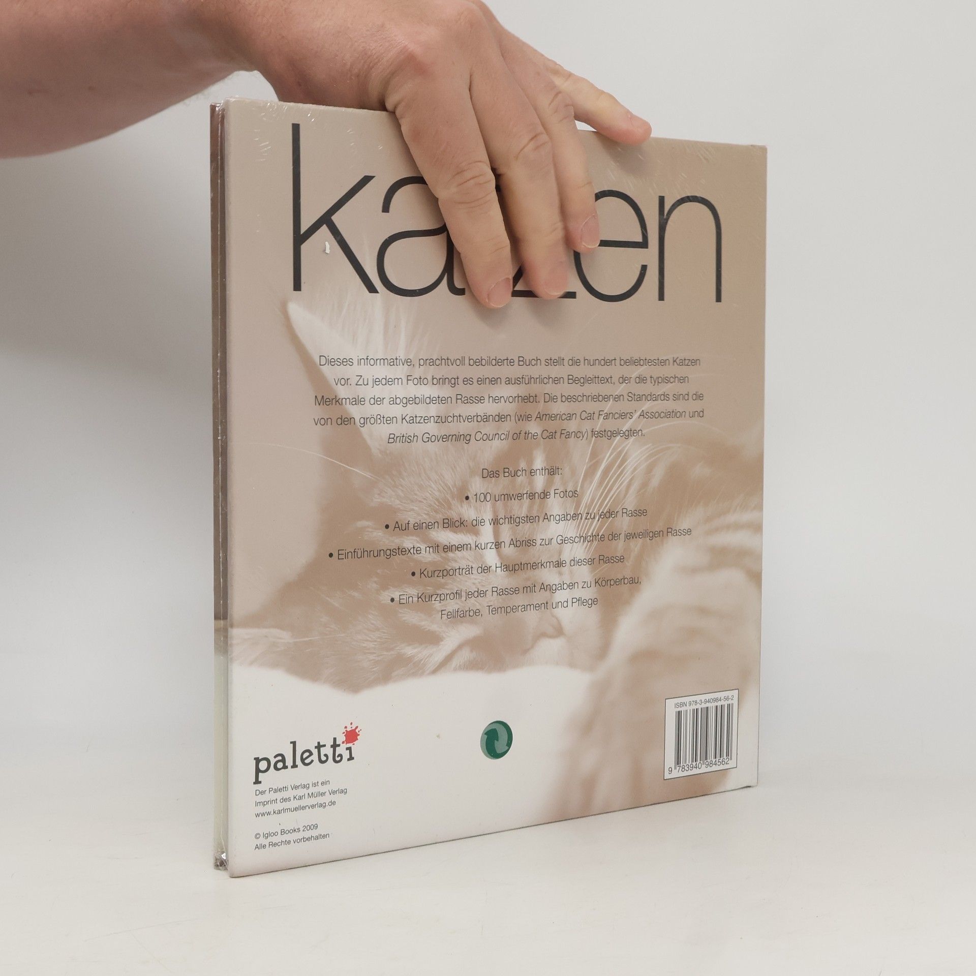 Autorenkollektiv Katzen