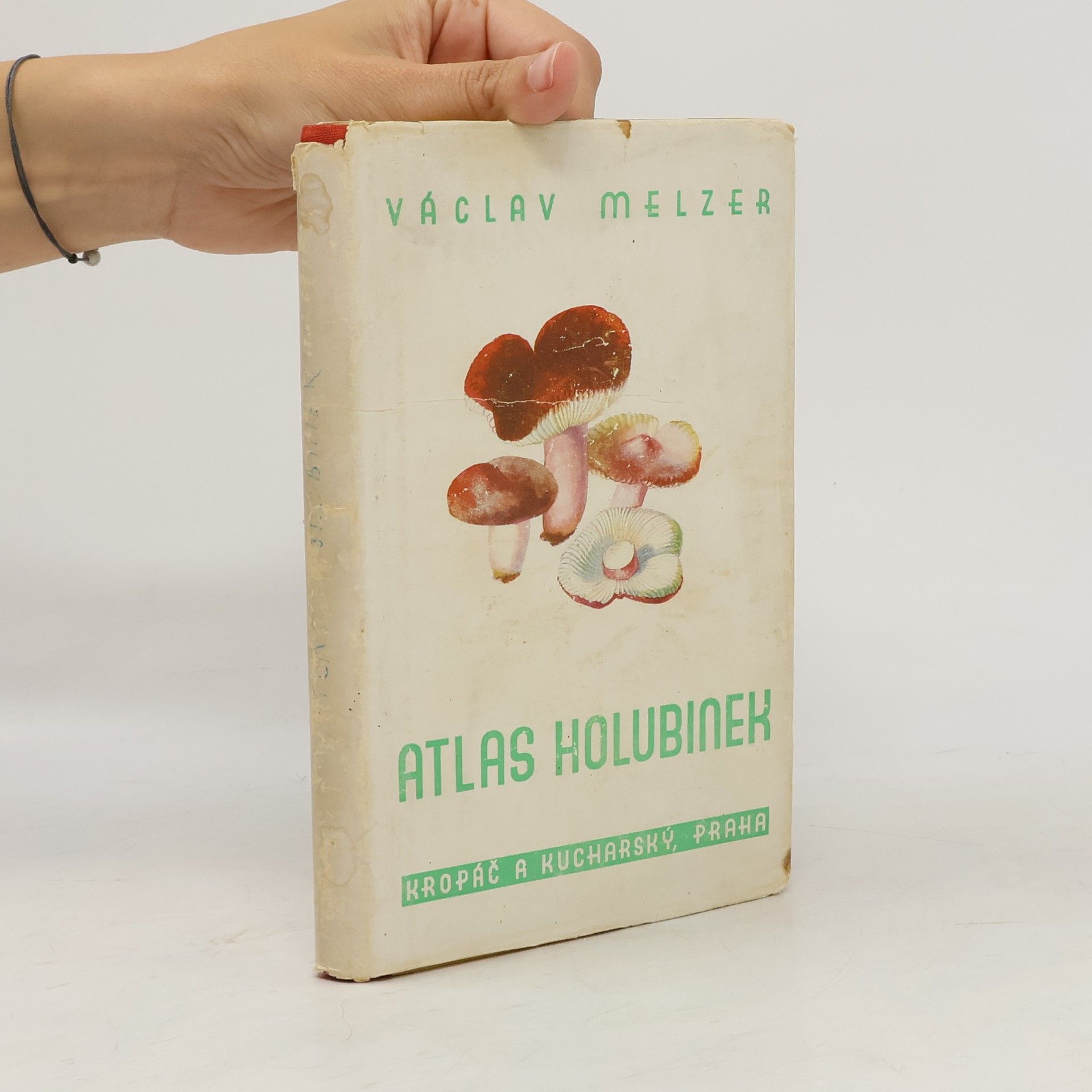Václav Melzer Atlas holubinek