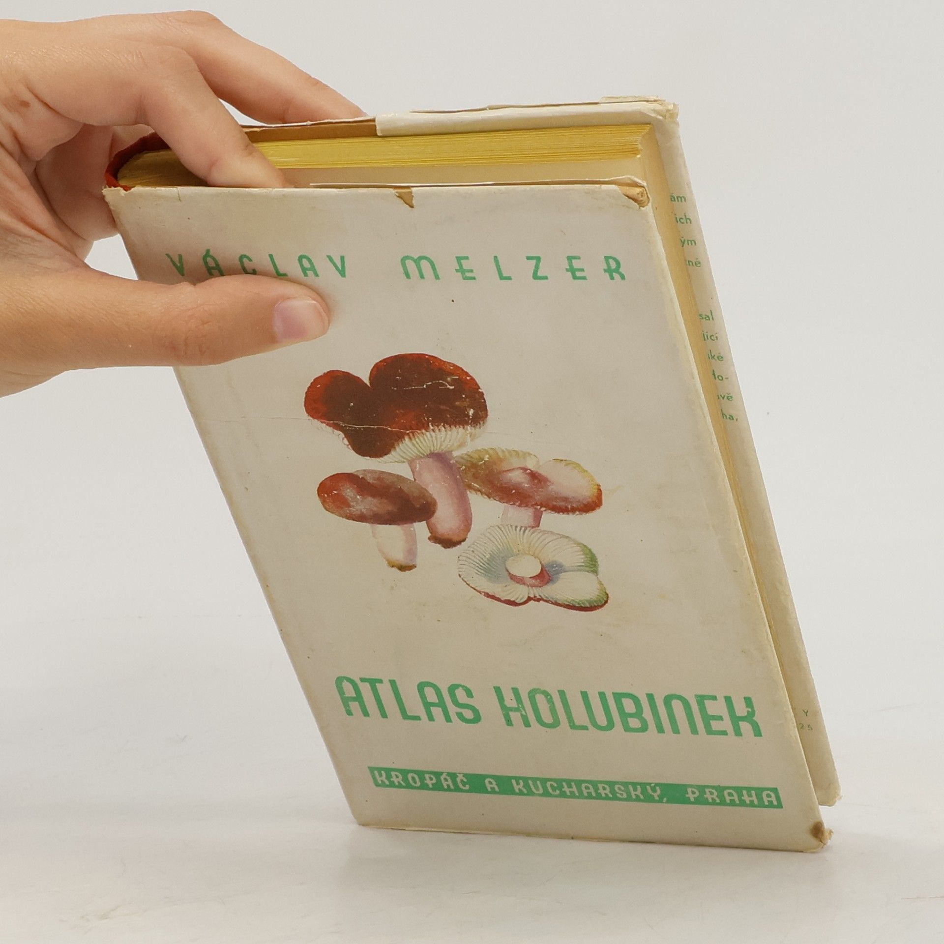Václav Melzer Atlas holubinek