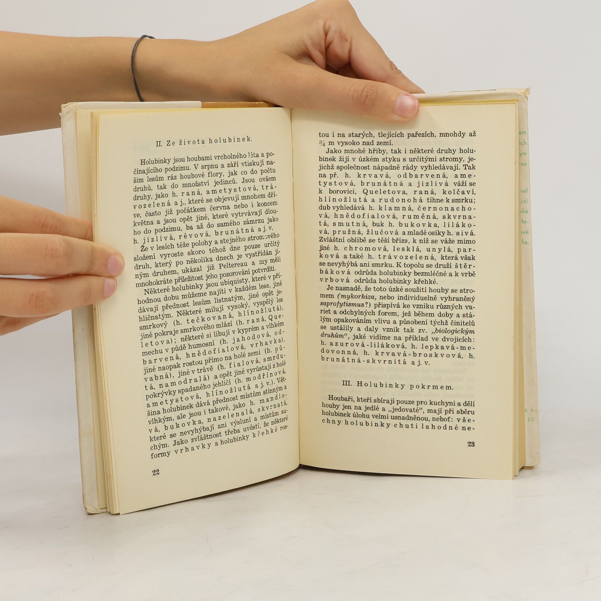 Václav Melzer Atlas holubinek