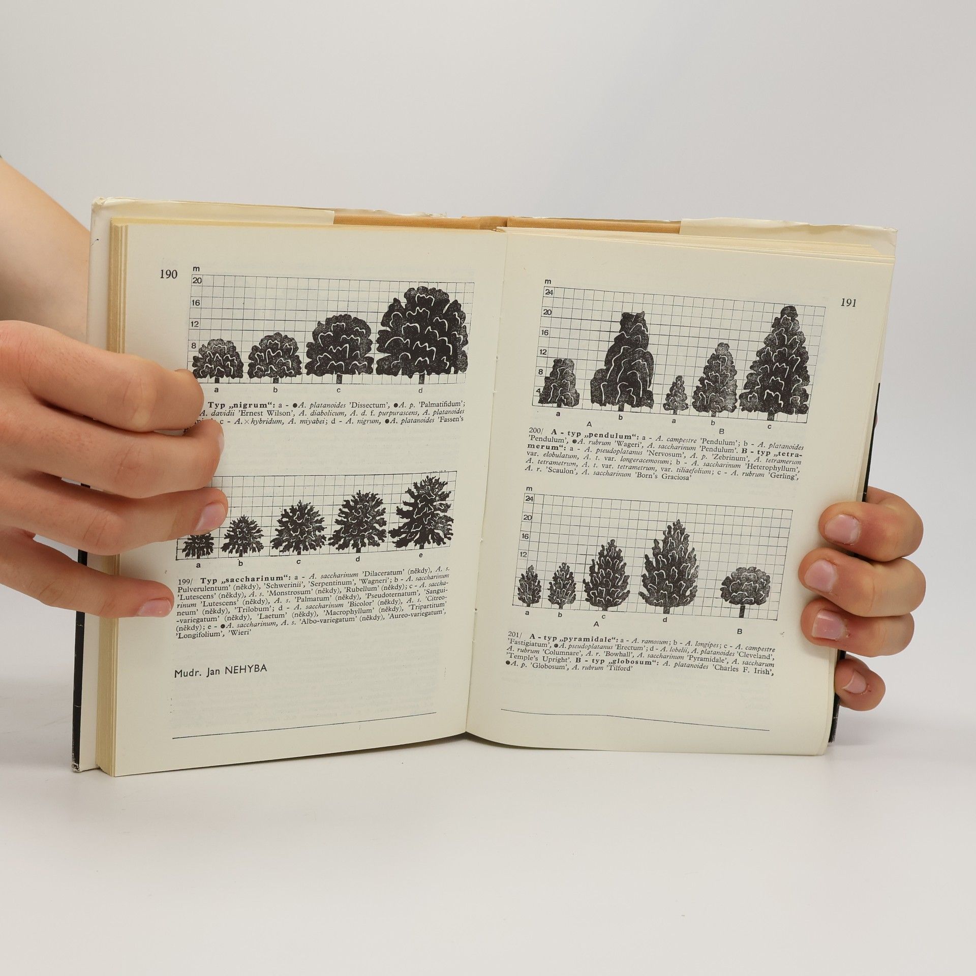 Karel Hieke Praktická dendrologie 1