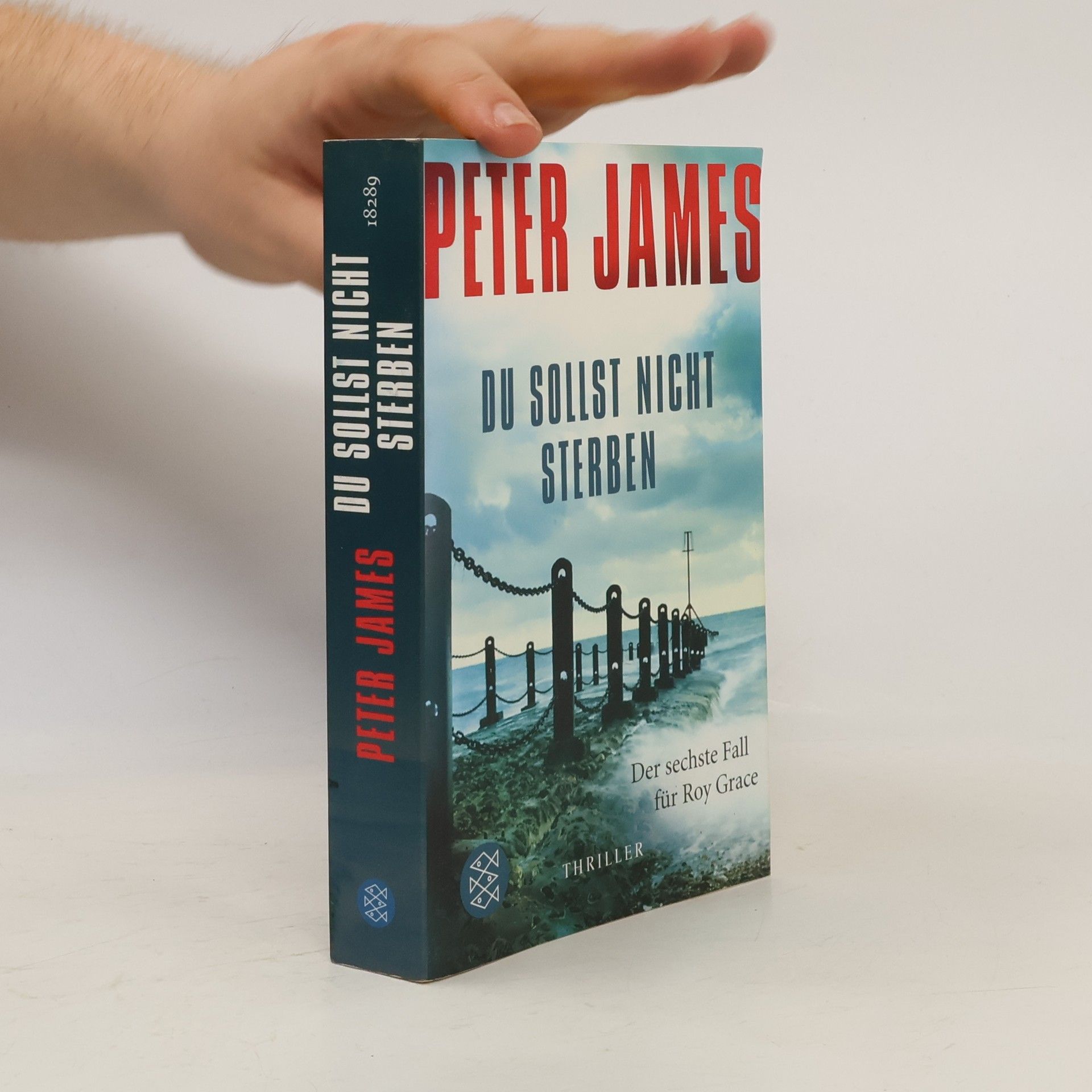 Peter James Du sollst nicht sterben