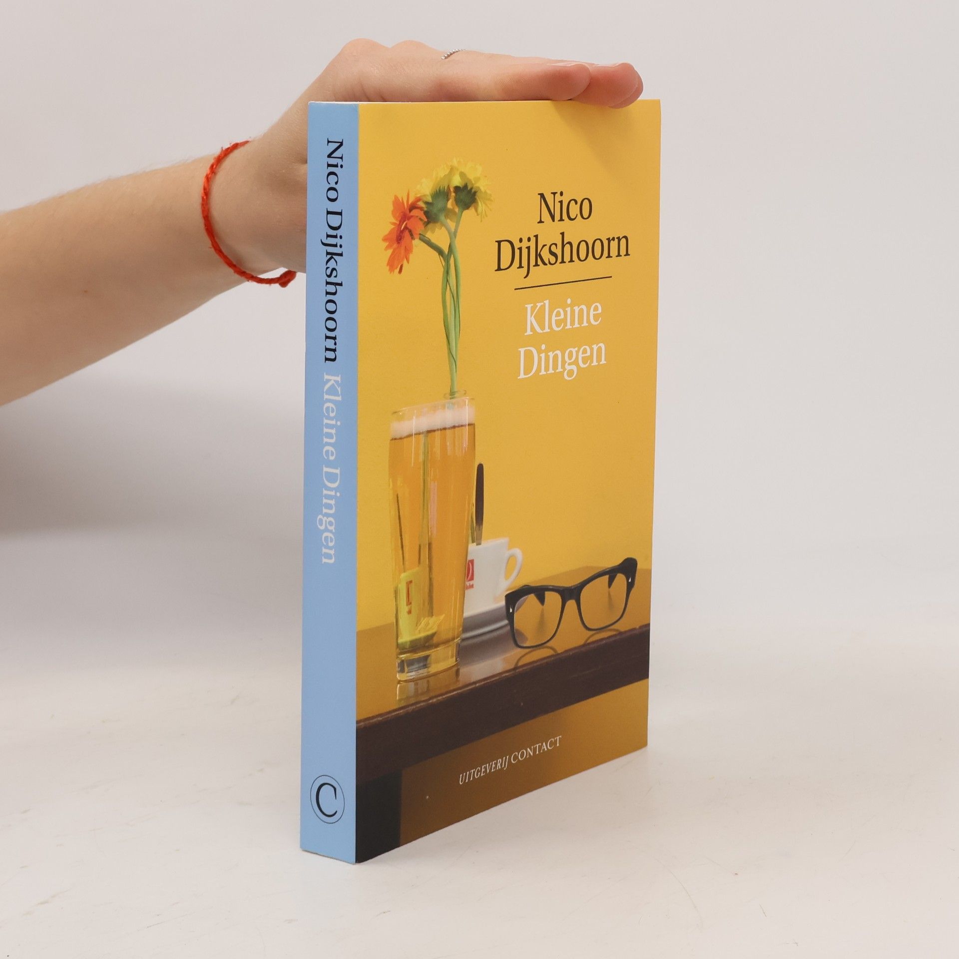 Nico Dijkshoorn Kleine dingen