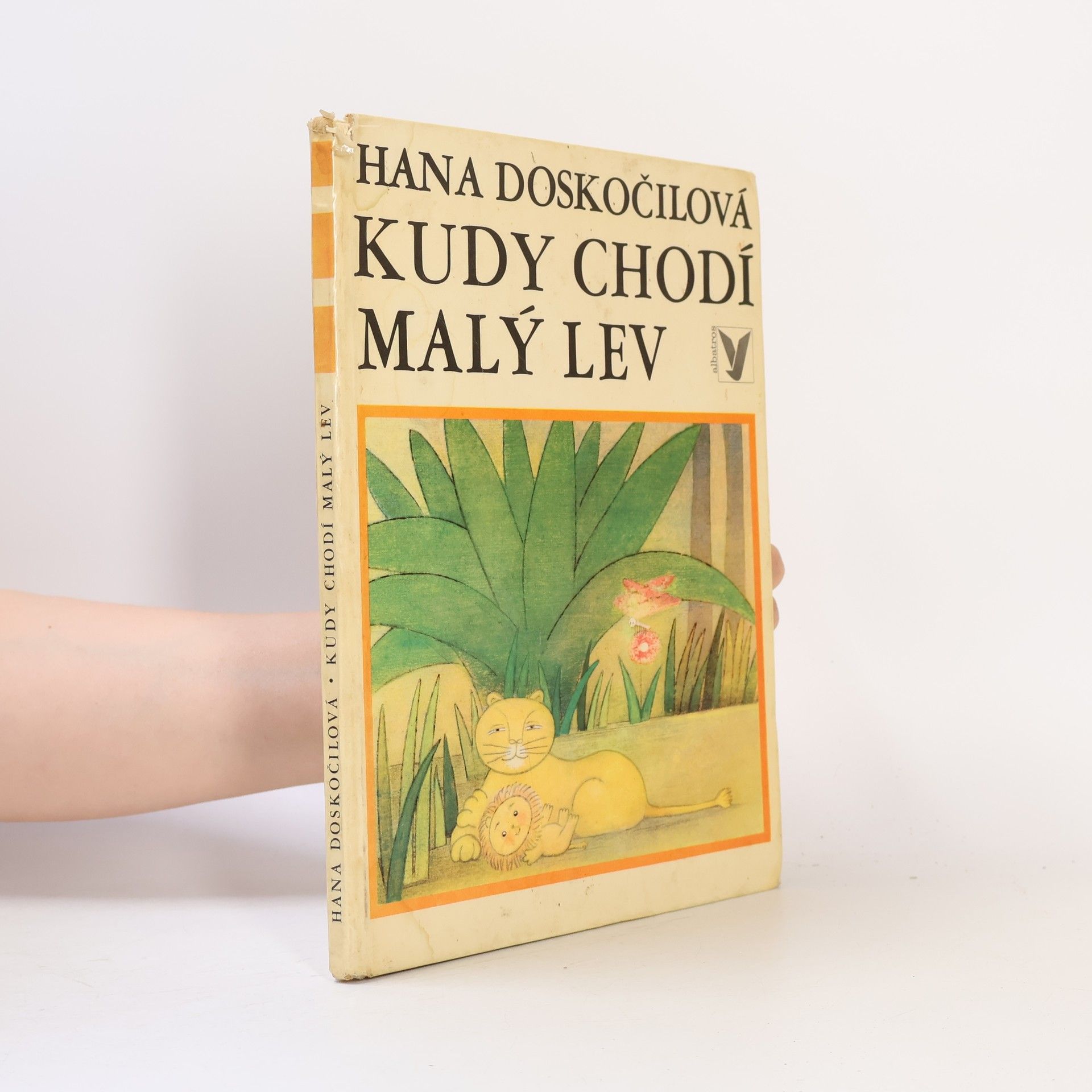 Hana Doskočilová Kudy chodí malý lev