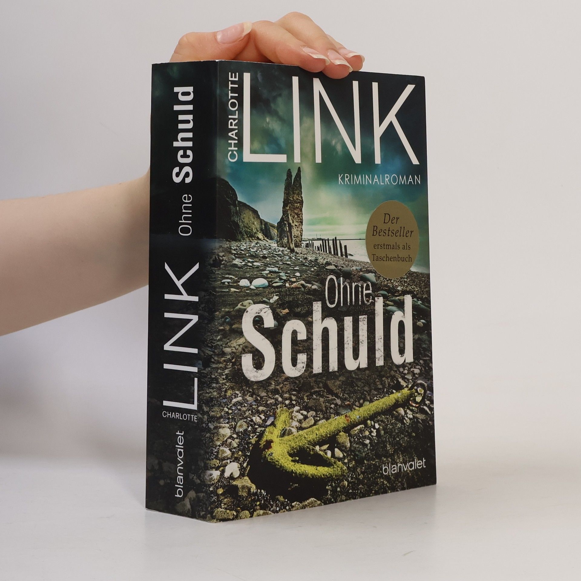 Charlotte Link Ohne Schuld
