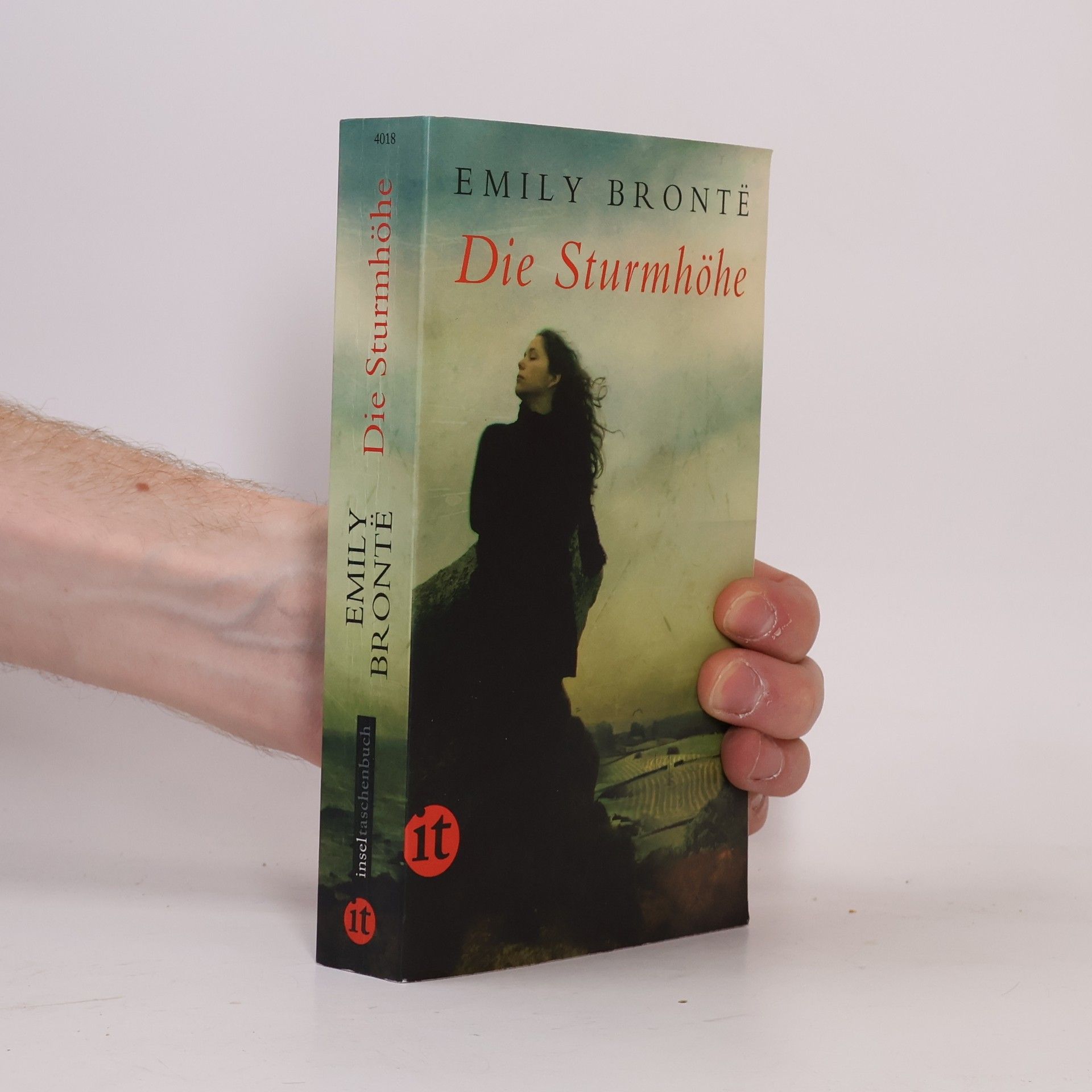 Emily Brontë Die Sturmhöhe