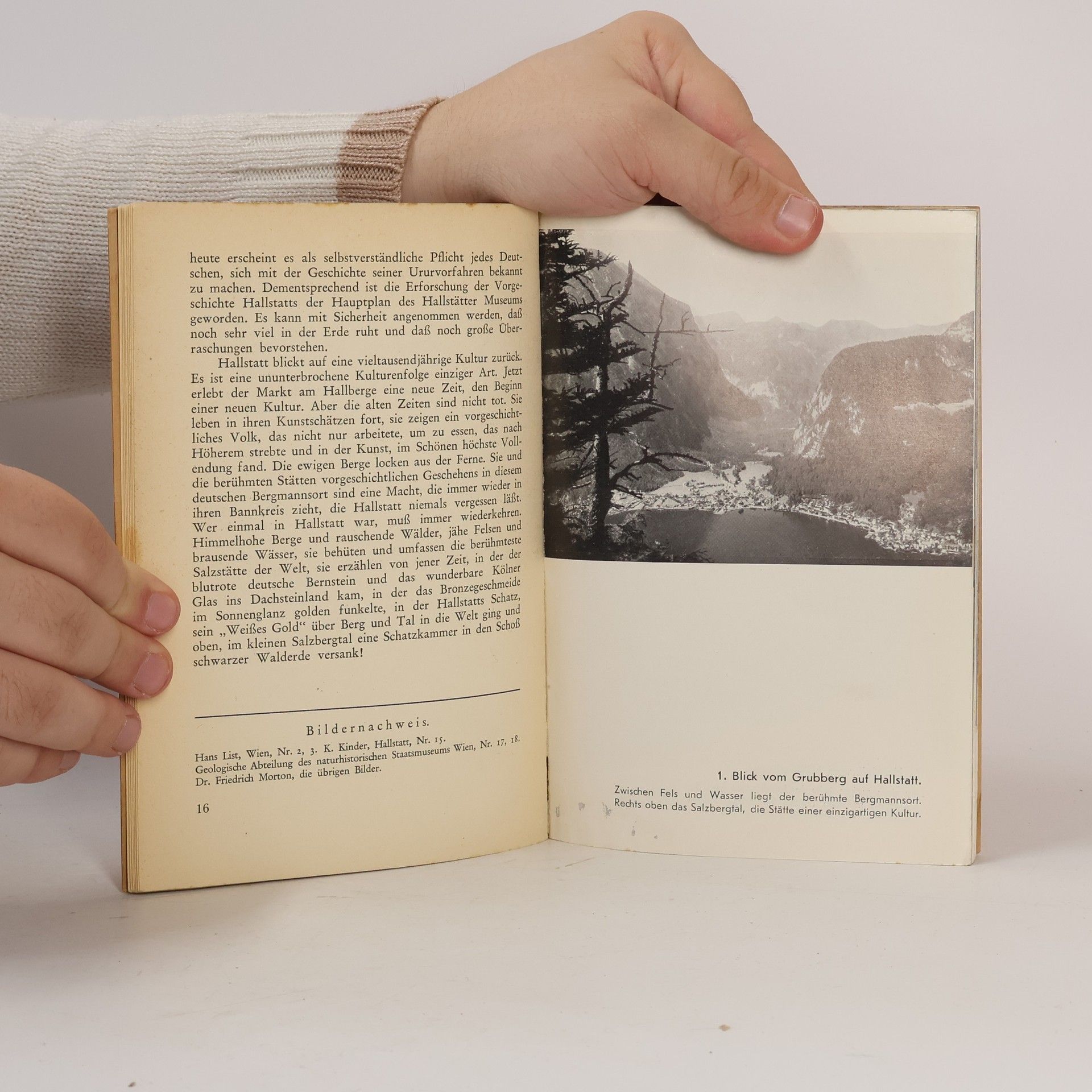 Friedrich Morton Hallstatt: Eine Stätte vieltausendjähriger Kultur