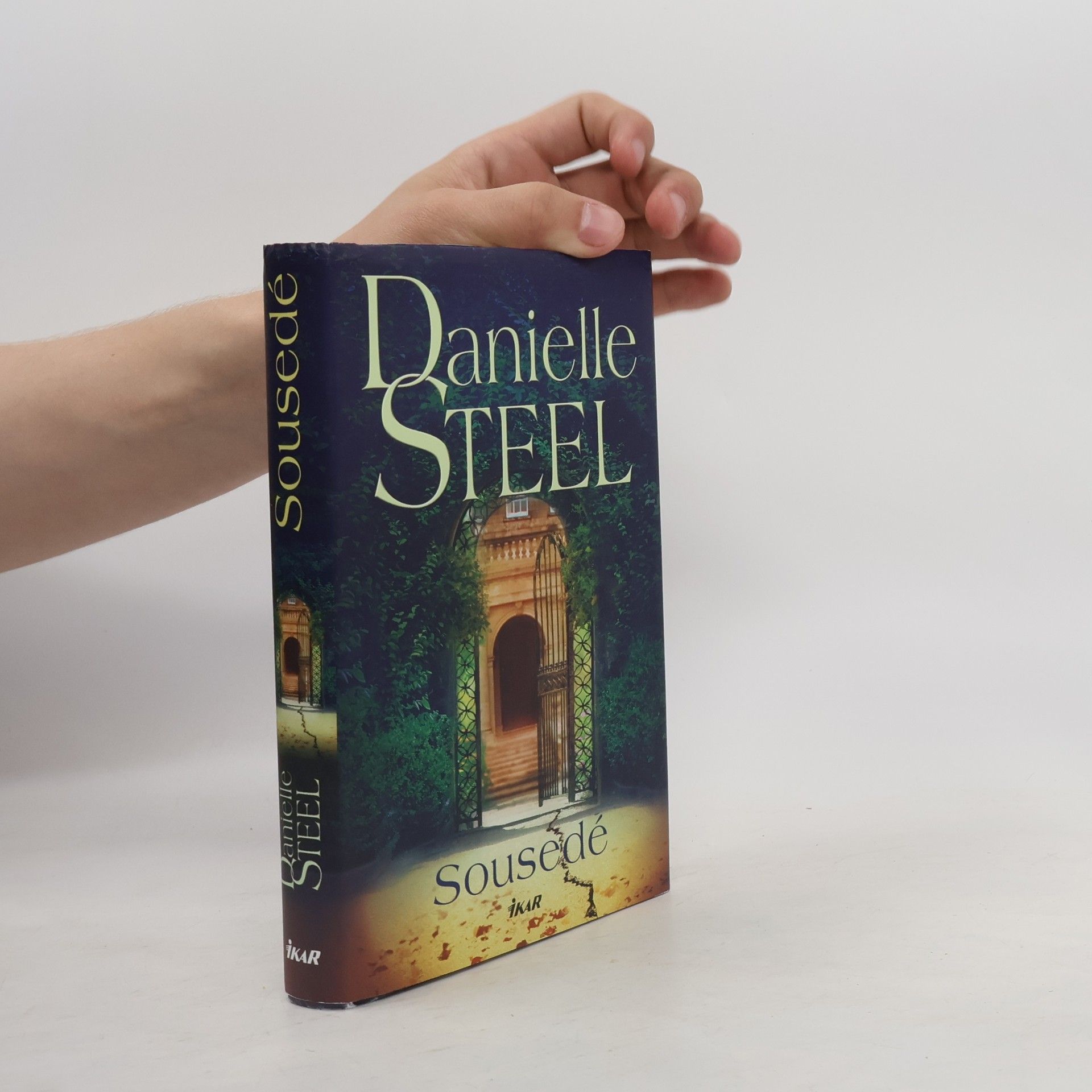 Danielle Steel Sousedé