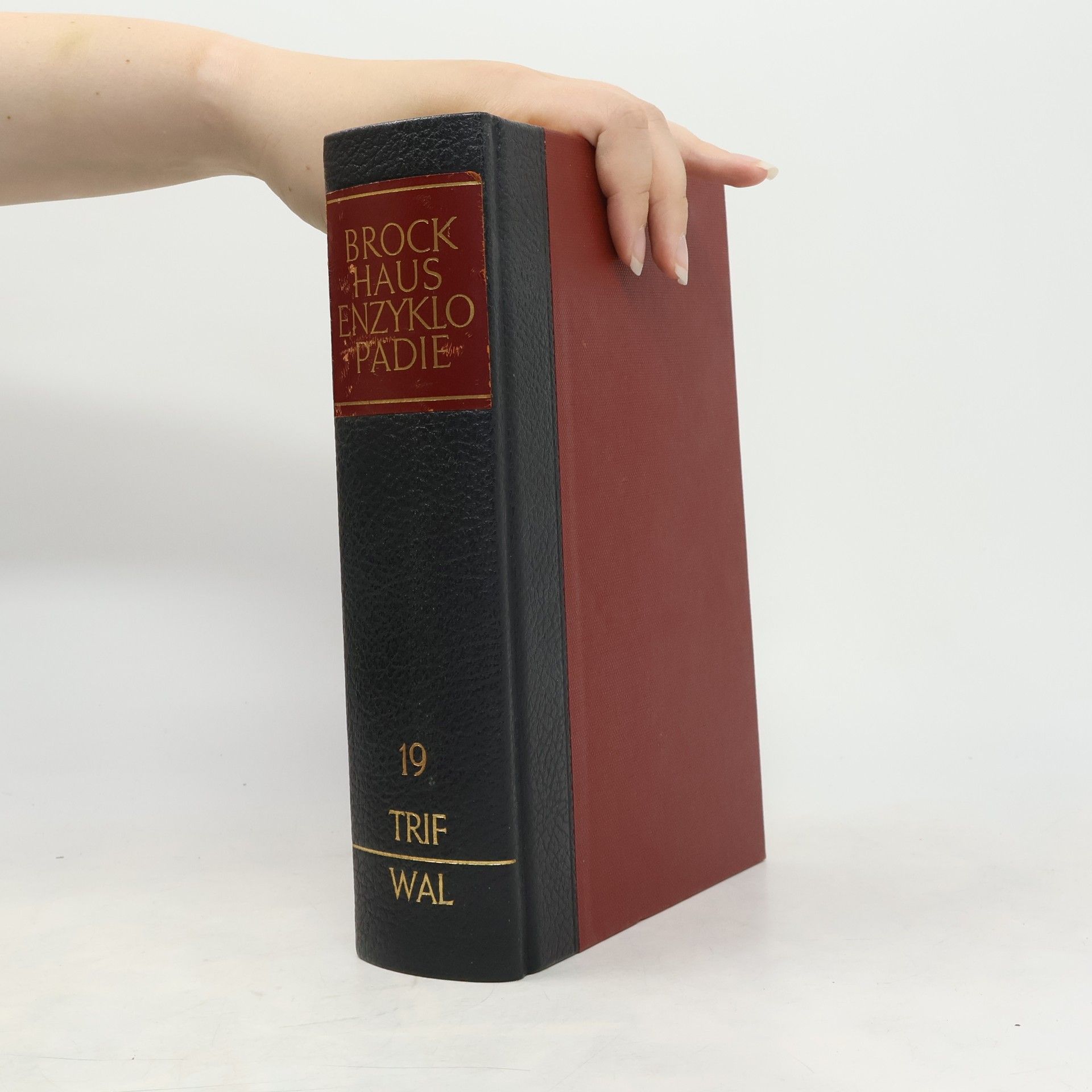 Autorenkollektiv Brockhaus Enzyklopädie 19. TRIF-WAL
