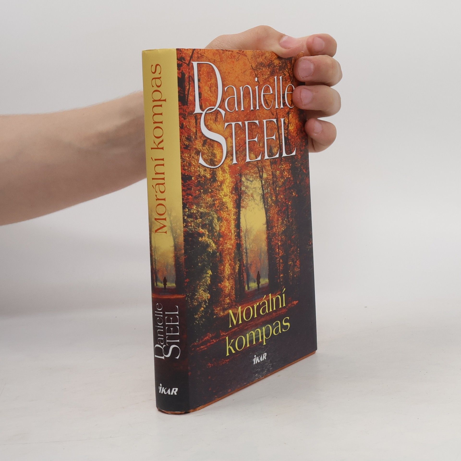 Danielle Steel Morální kompas