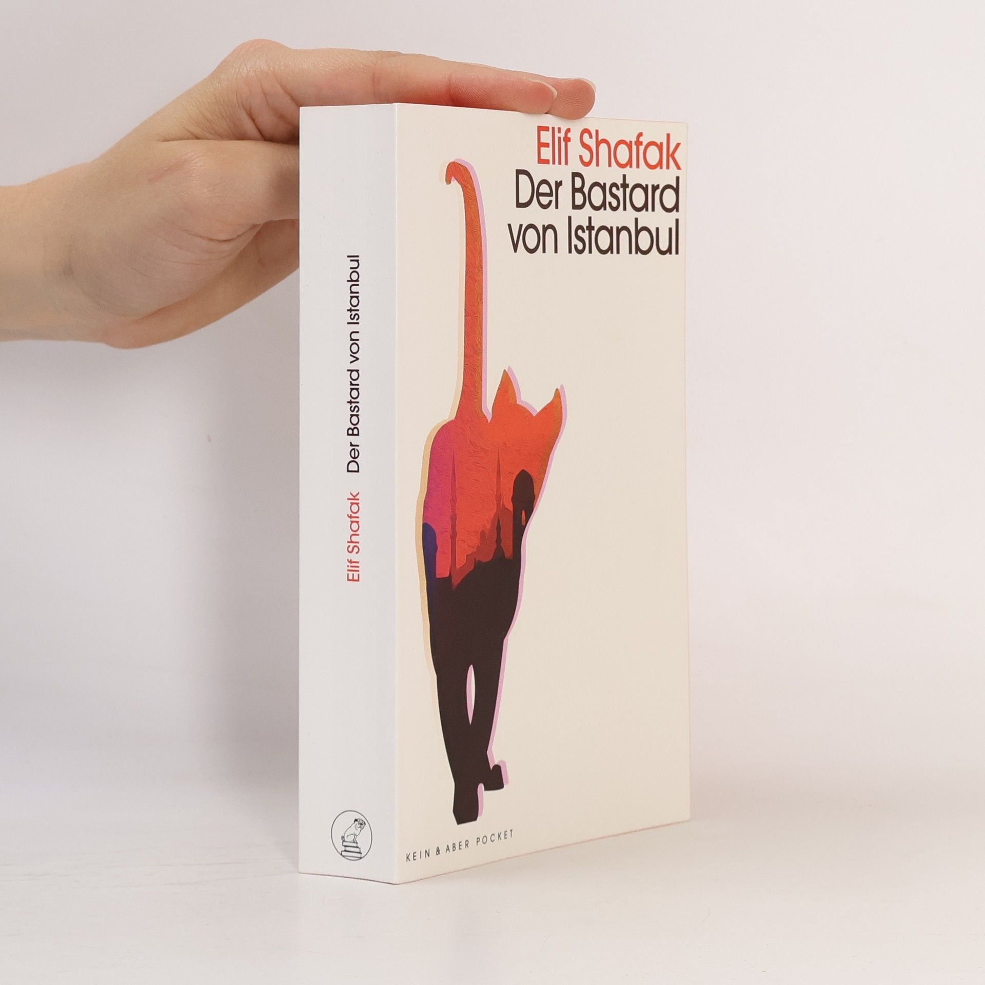 Elif Şafak Der Bastard von Istanbul