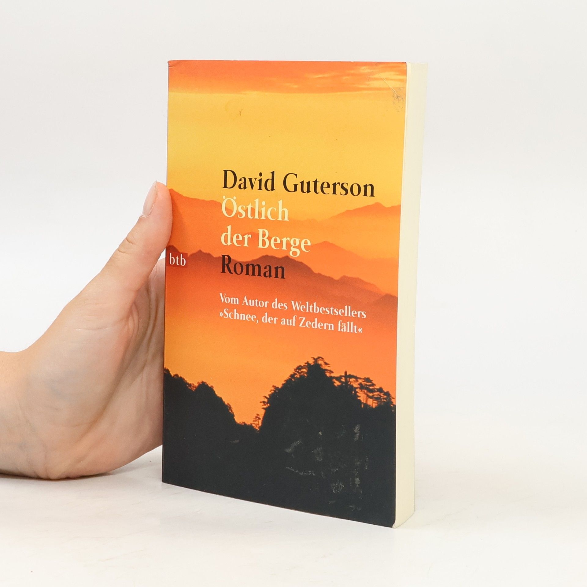 David Guterson Östlich der Berge