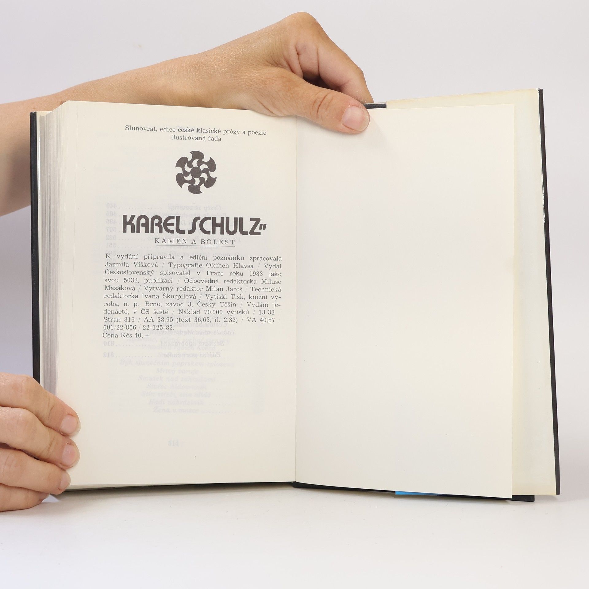 Karel Schulz Kámen a bolest